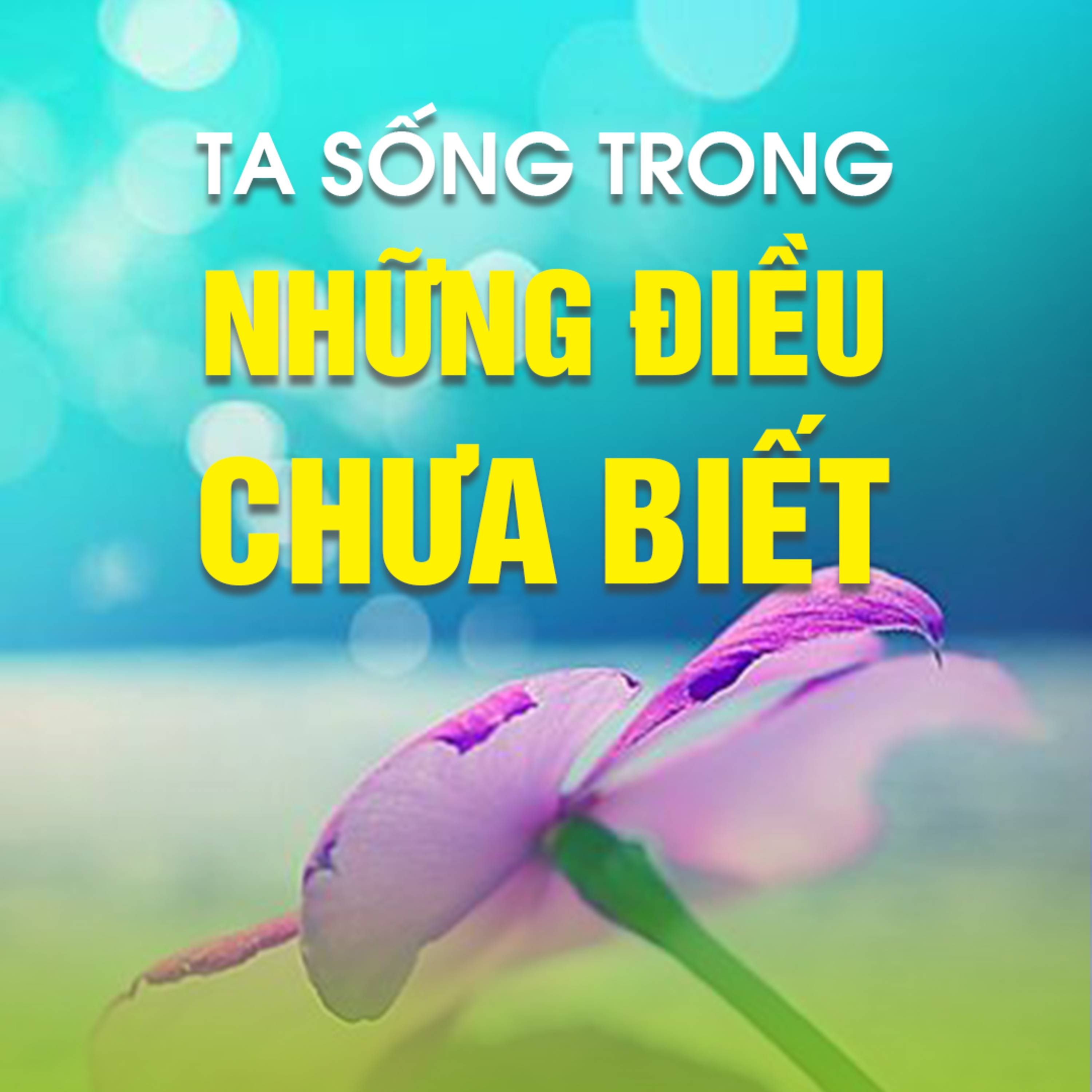 TA SỐNG TRONG NHỮNG ĐIỀU CHƯA BIẾT 