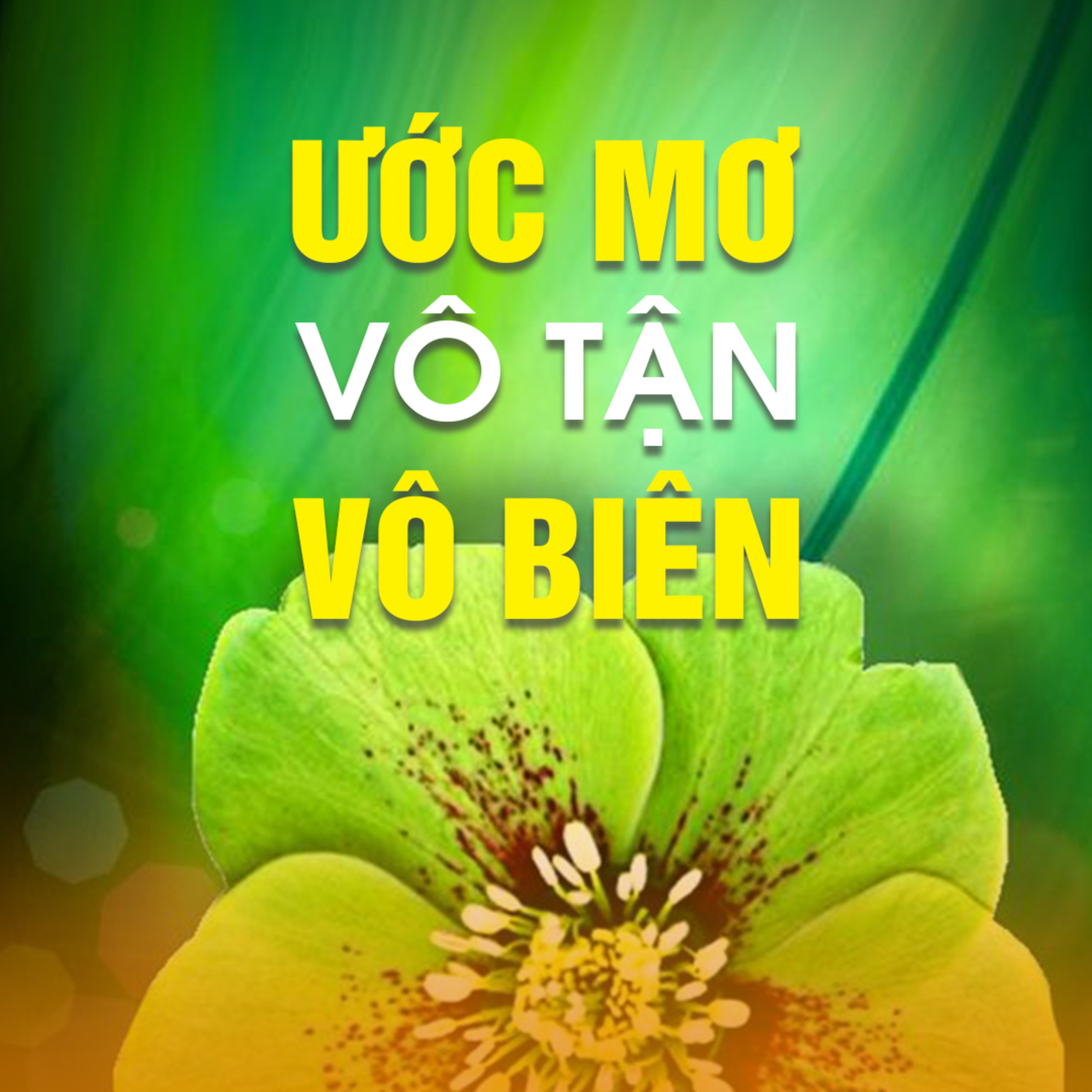ƯỚC MƠ VÔ TẬN VÔ BIÊN  episode artwork