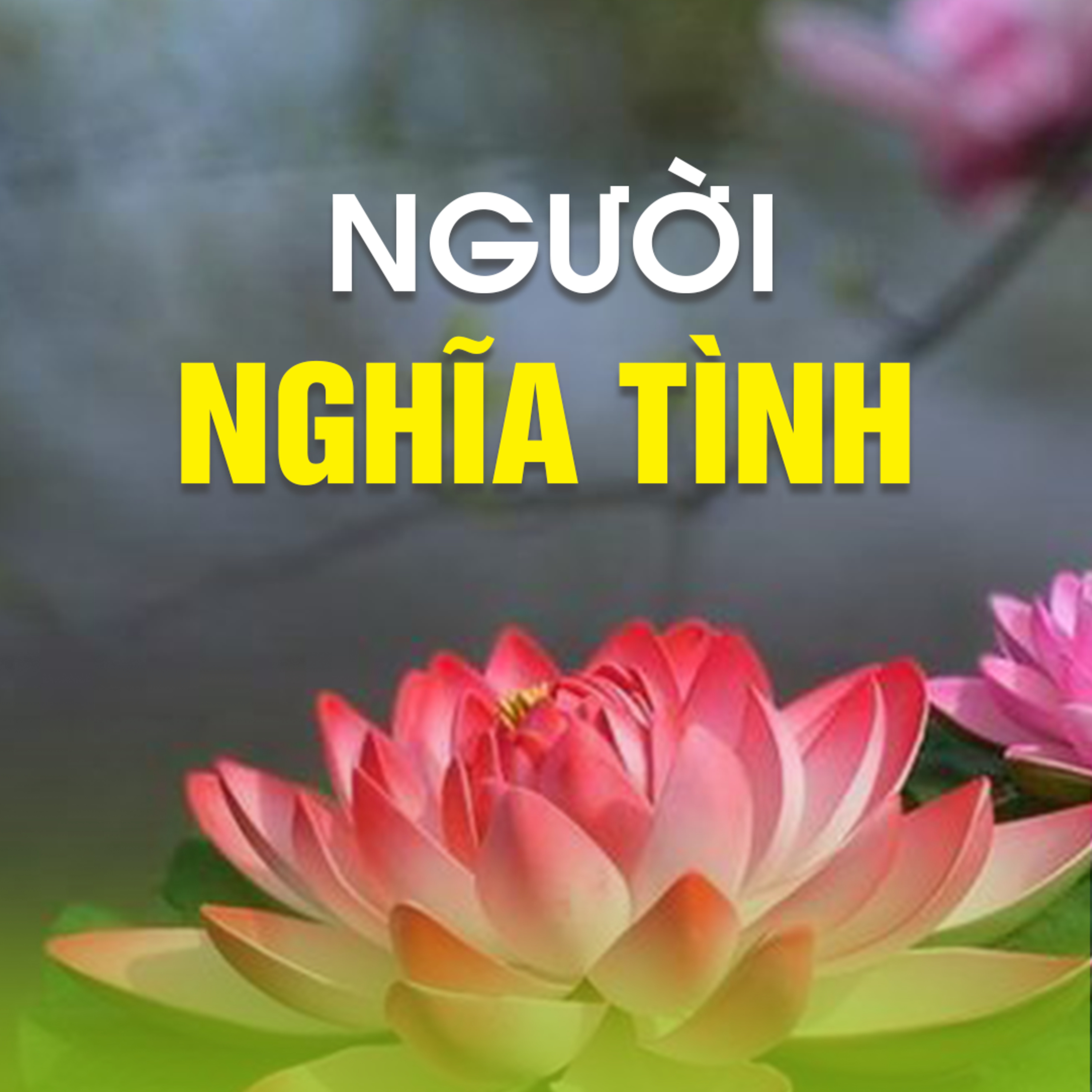 NGƯỜI NGHĨA TÌNH episode artwork