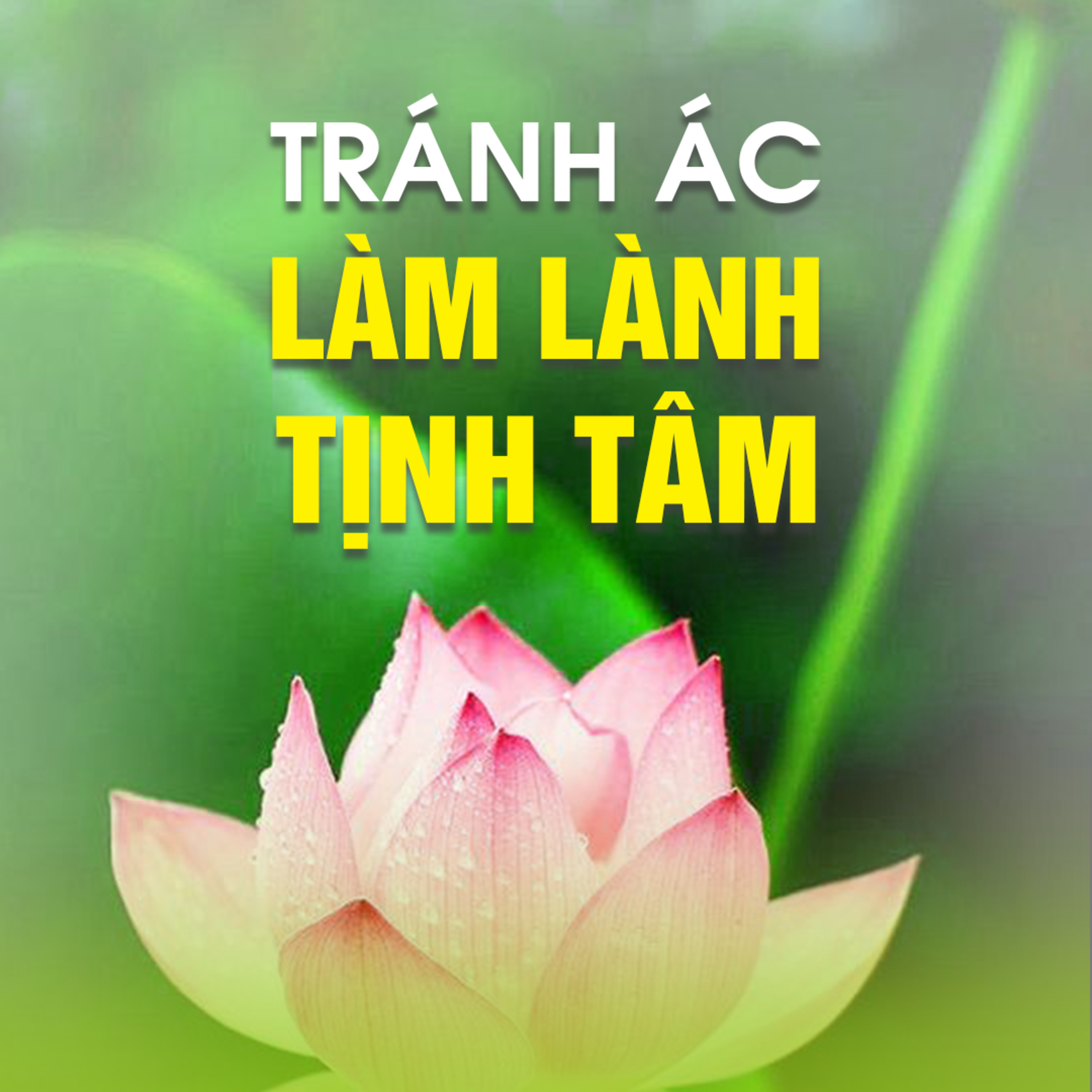 TRÁNH ÁC, LÀM LÀNH, TỊNH TÂM  episode artwork