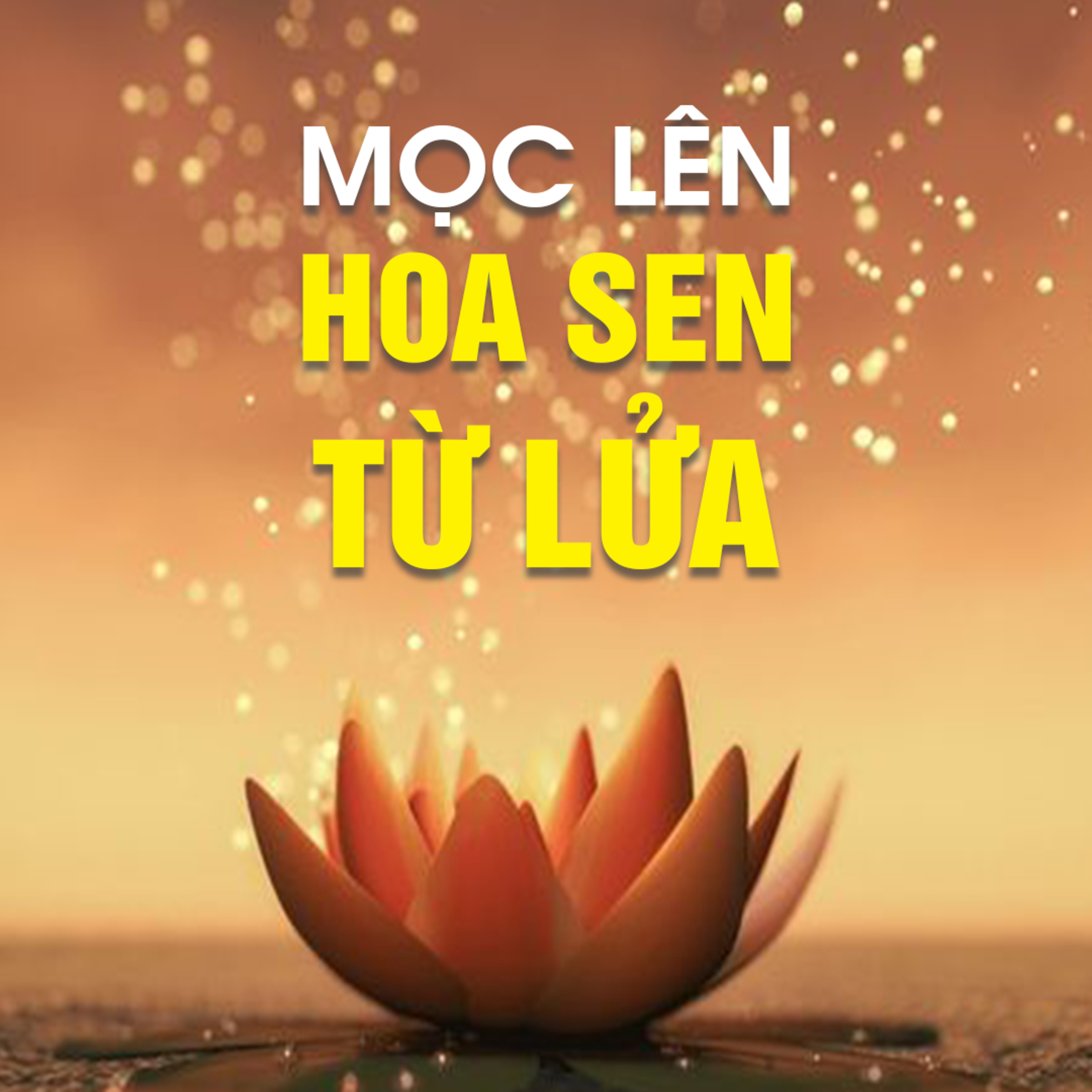 HOA SEN MỌC LÊN TỪ LỬA B - Pháp Cú 22  episode artwork