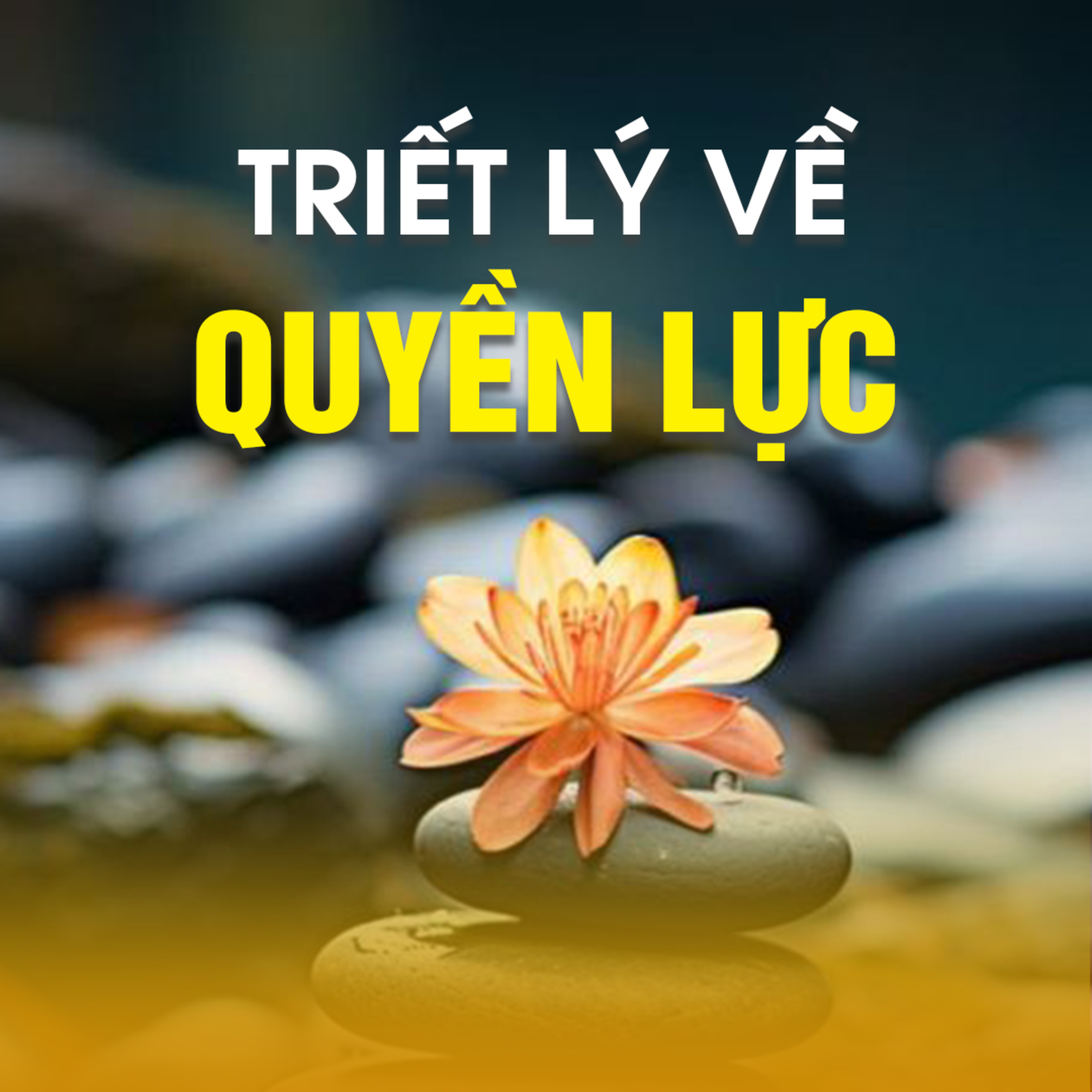 TRIẾT LÝ VỀ QUYỀN LỰC B episode artwork