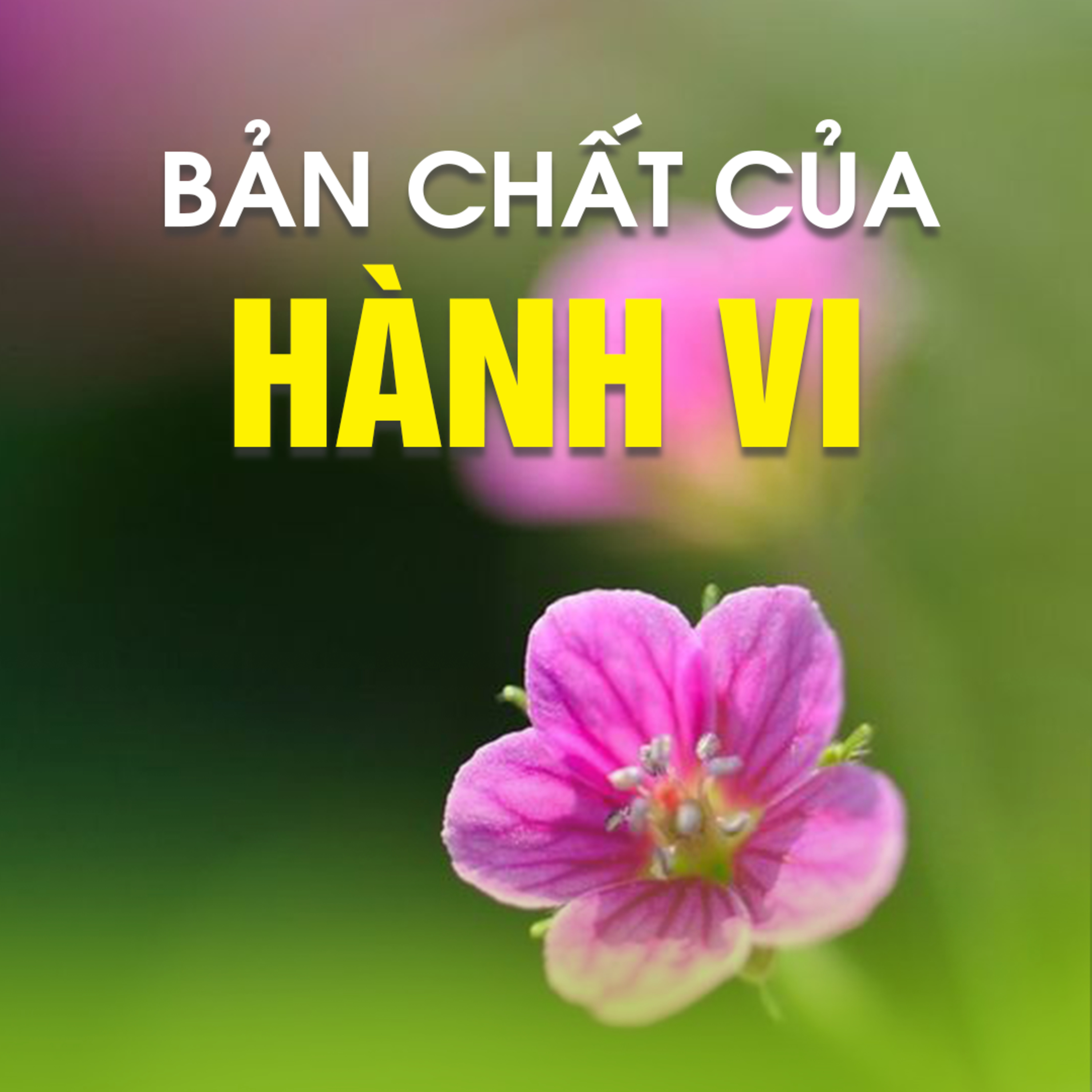 BẢN CHẤT CỦA HÀNH VI  episode artwork