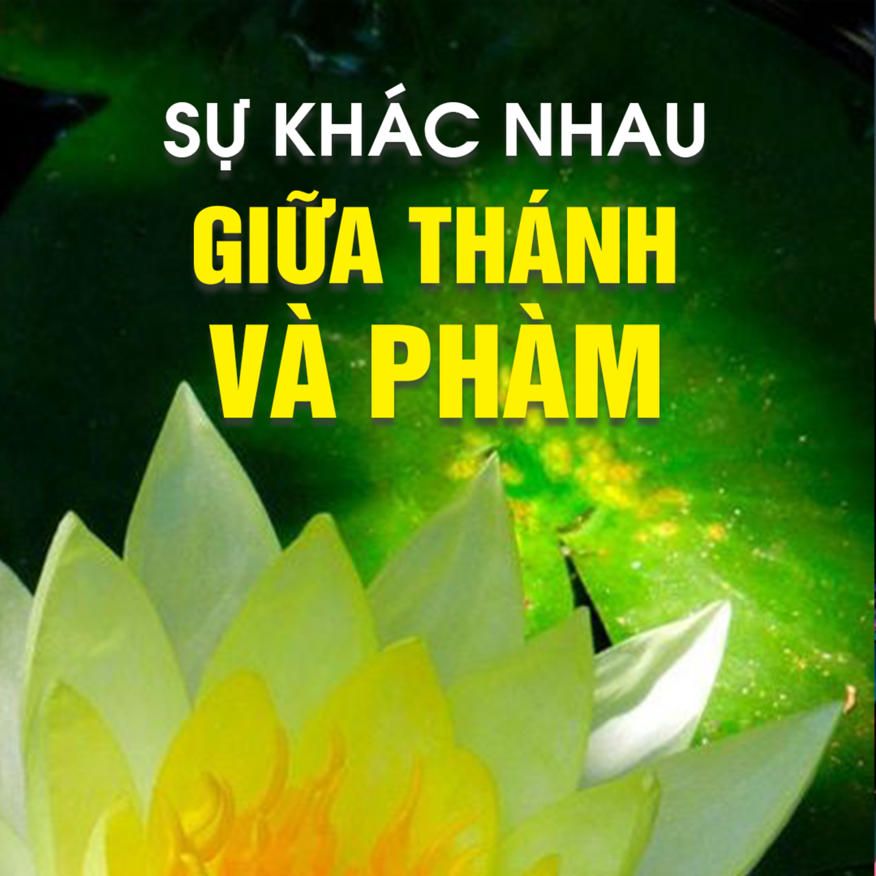 SỰ KHÁC NHAU GIỮA THÁNH VÀ PHÀM A - Pháp Cú 63 