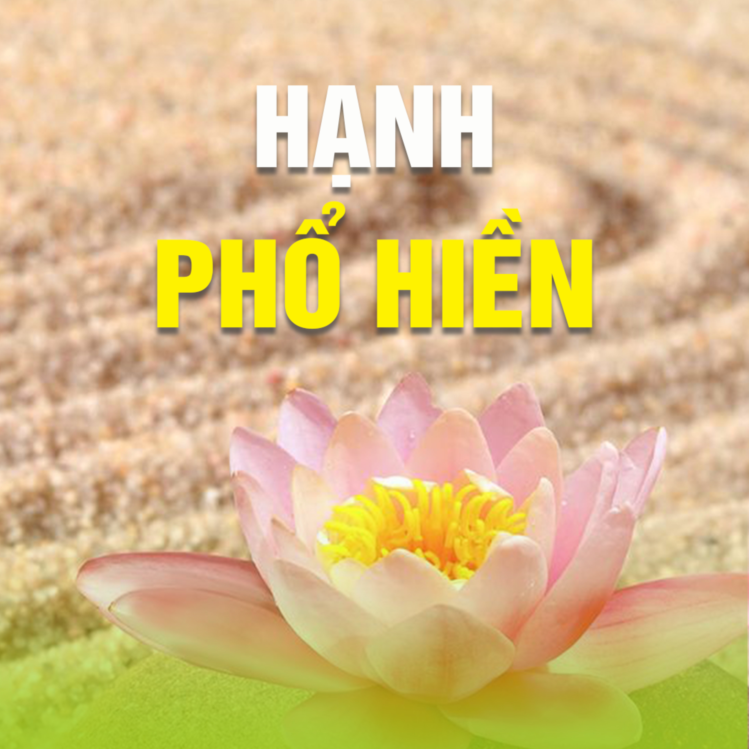 HẠNH PHỔ HIỀN 01 - NHẤT GIẢ LỄ KÍNH CHƯ PHẬT  episode artwork