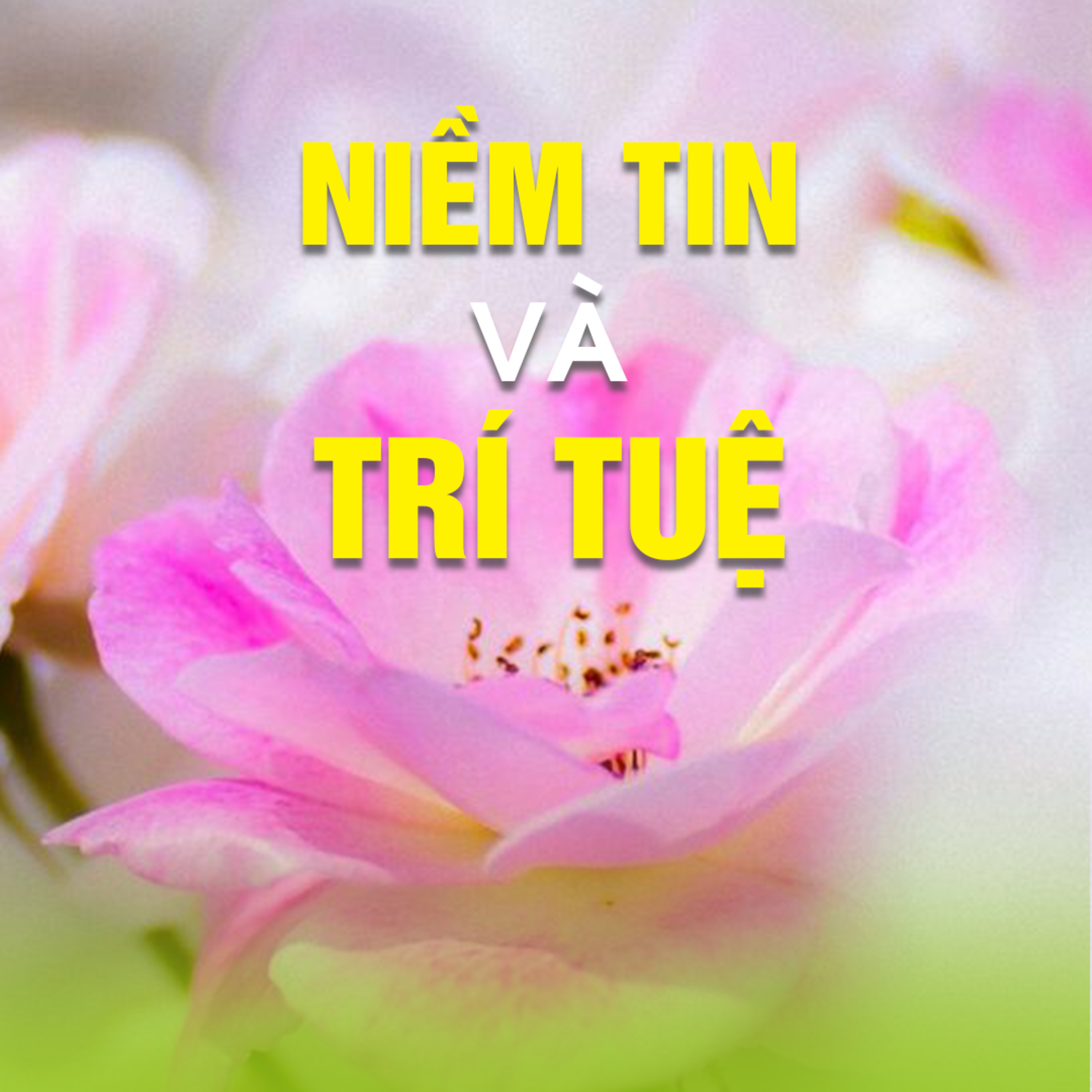 NIỀM TIN VÀ TRÍ TUỆ B - Pháp Cú 35 