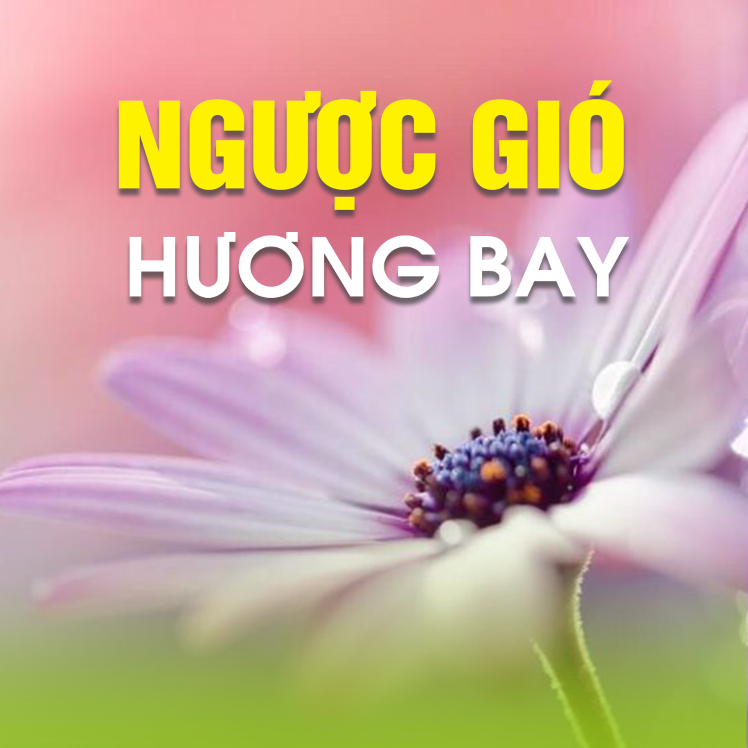 NGƯỢC GIÓ HƯƠNG BAY B - Pháp Cú 21 