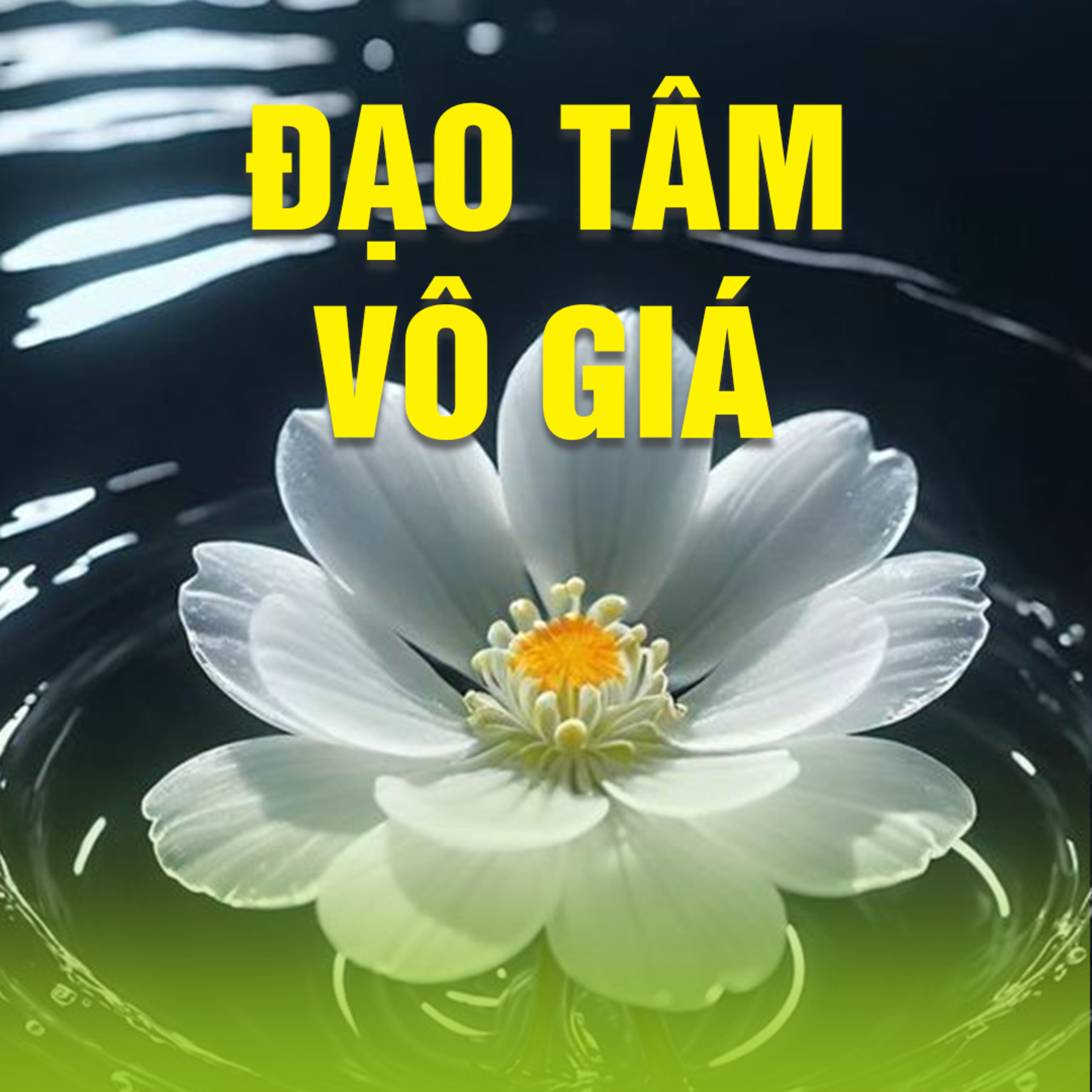 ĐẠO TÂM VÔ GIÁ  episode artwork