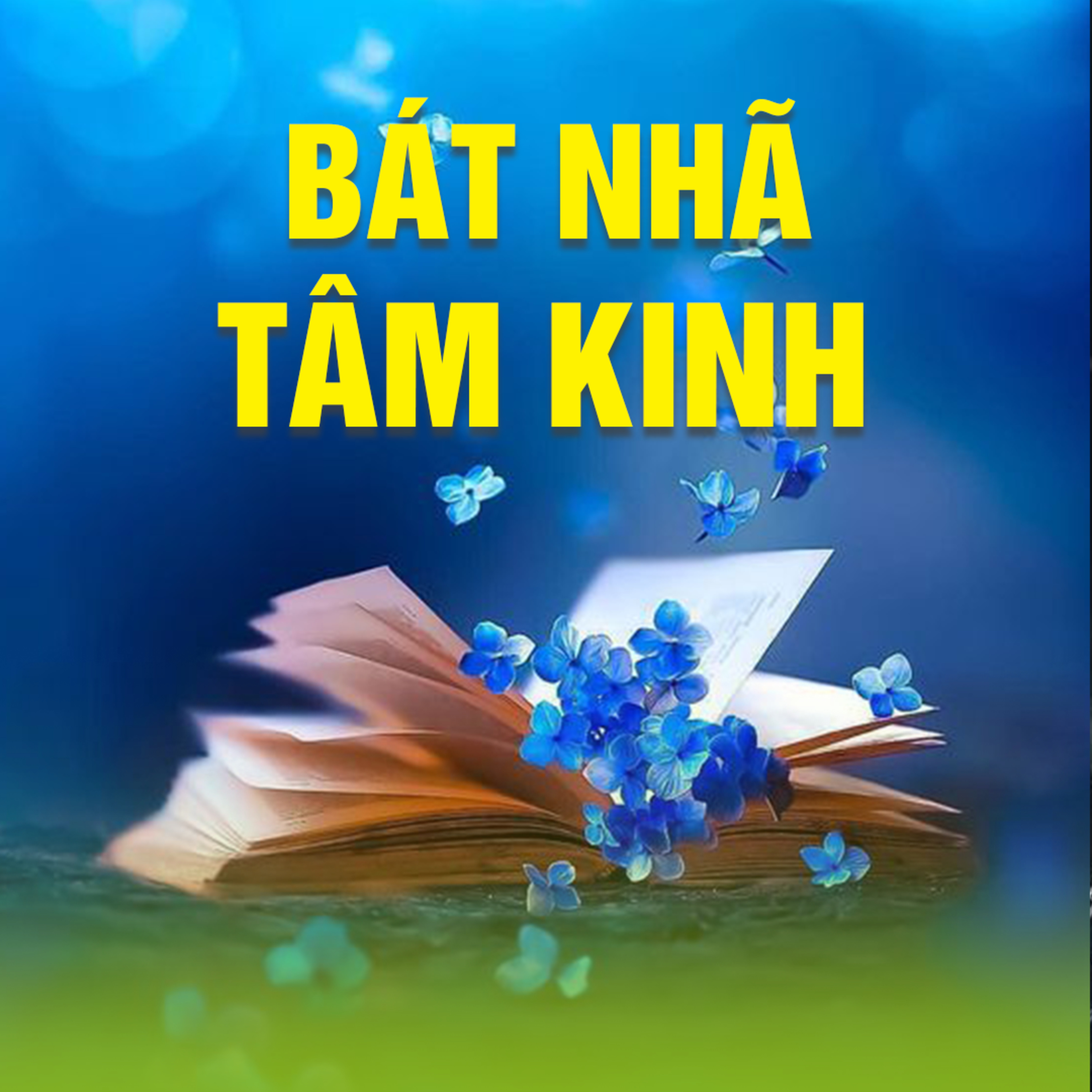 BÁT NHÃ TÂM KINH 02 - Chỉ Bồ Tát mới hiểu B