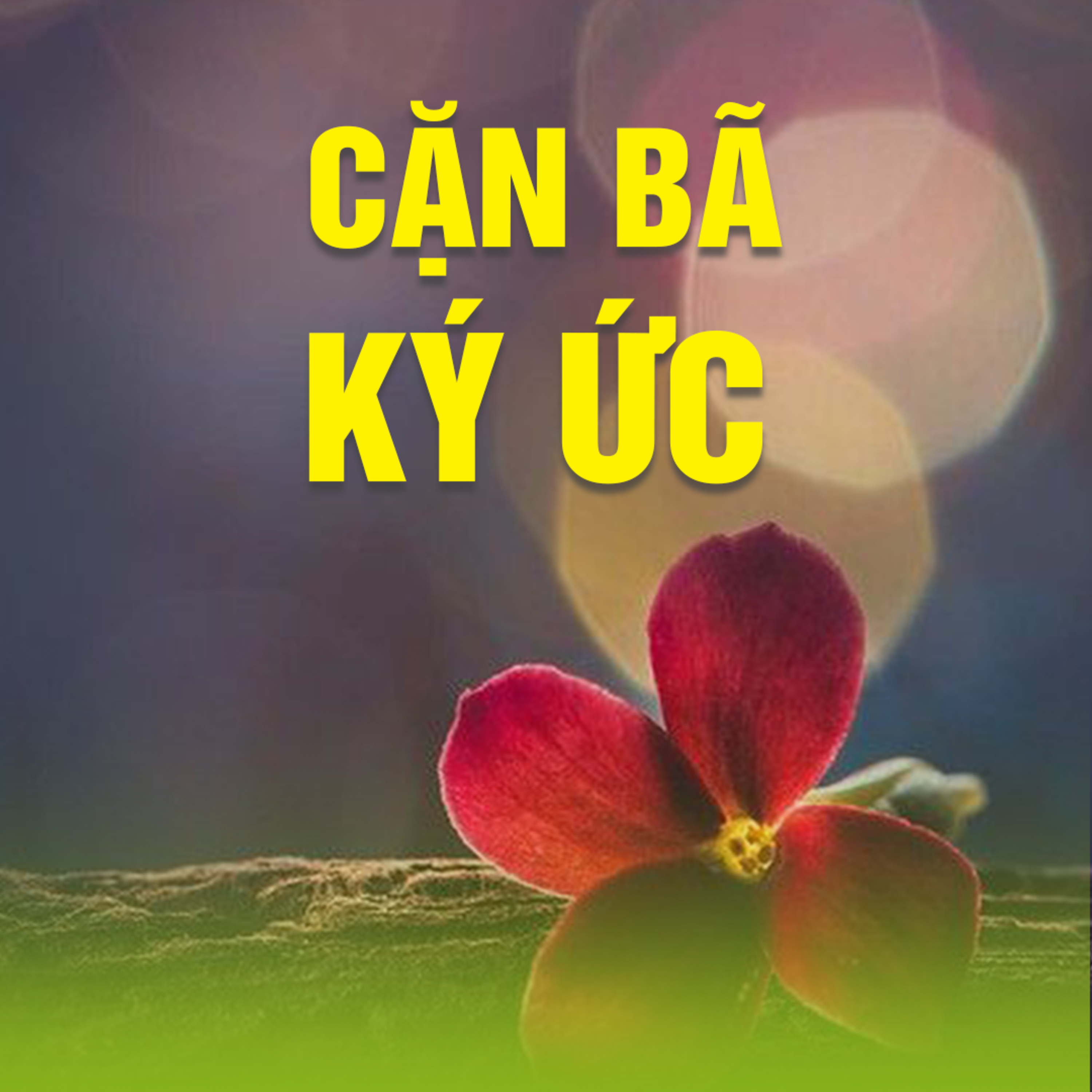 CẶN BÃ KÝ ỨC 1 B - Sống thiện episode artwork