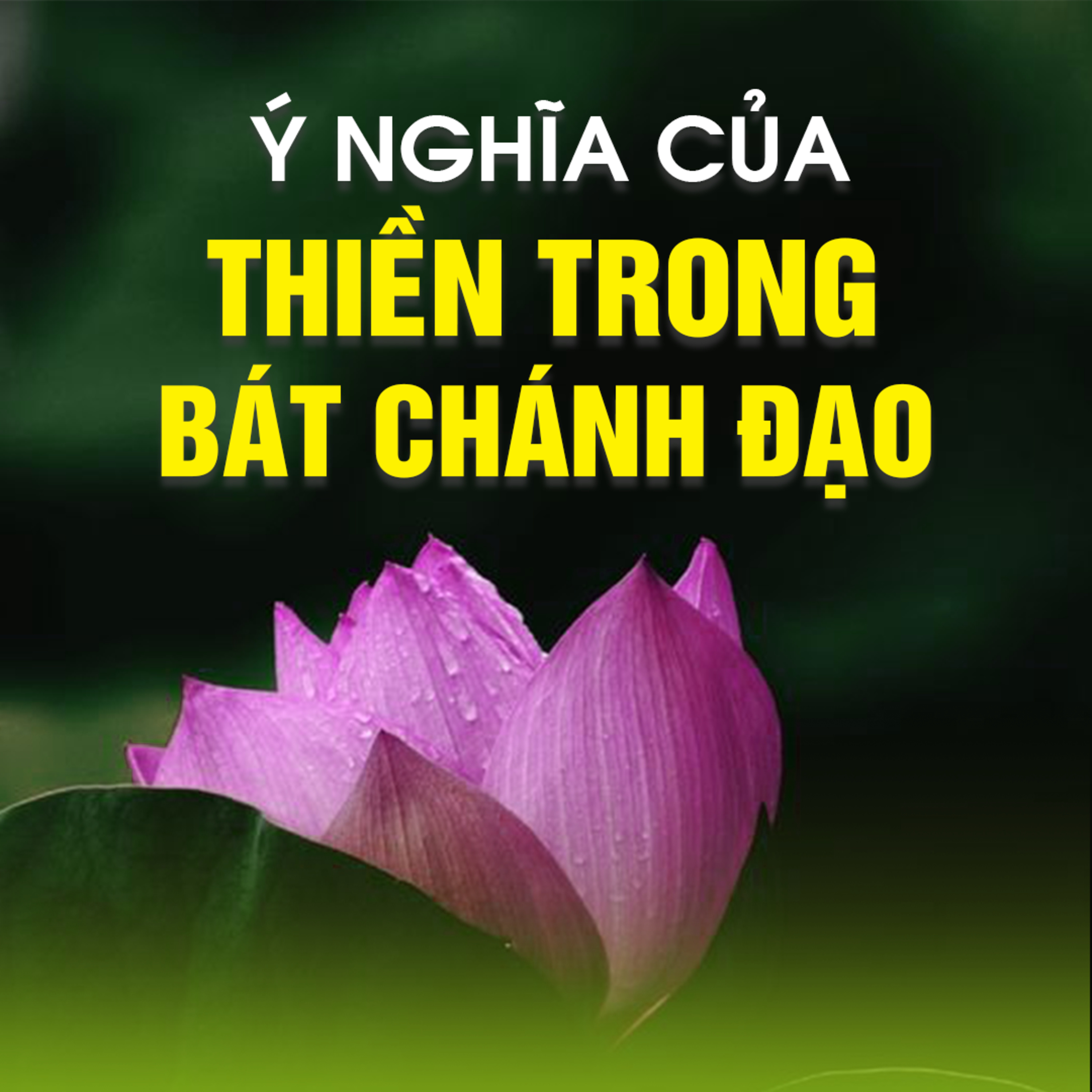 Ý NGHĨA CỦA THIỀN TRONG BÁT CHÁNH ĐẠO B episode artwork