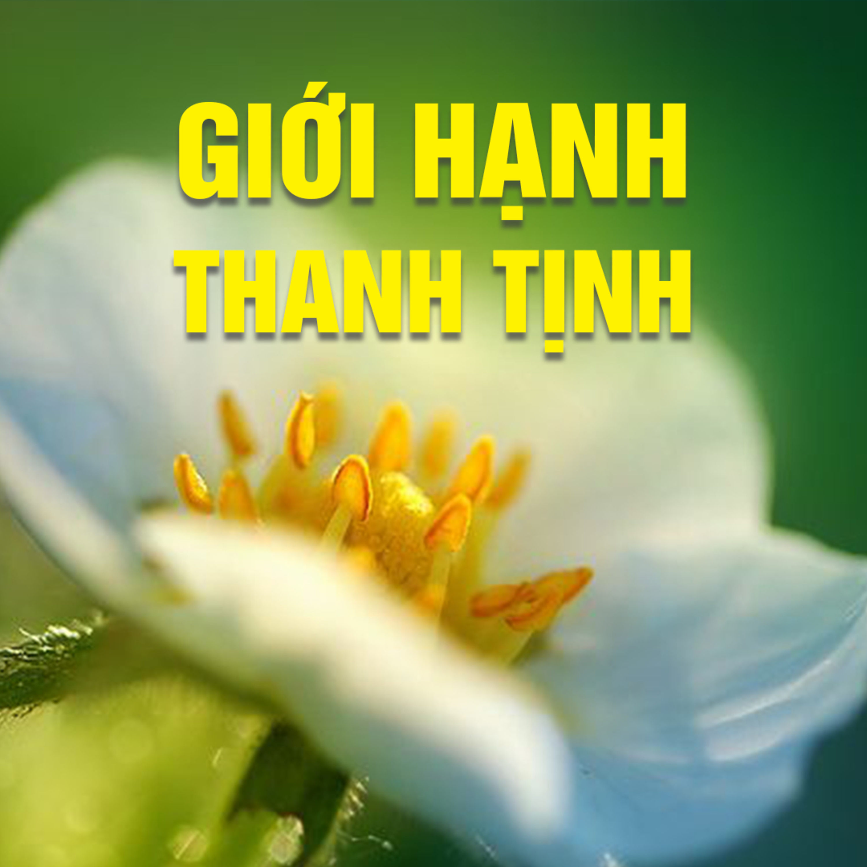 GIỚI HẠNH THANH TỊNH A - Pháp Cú 62  episode artwork