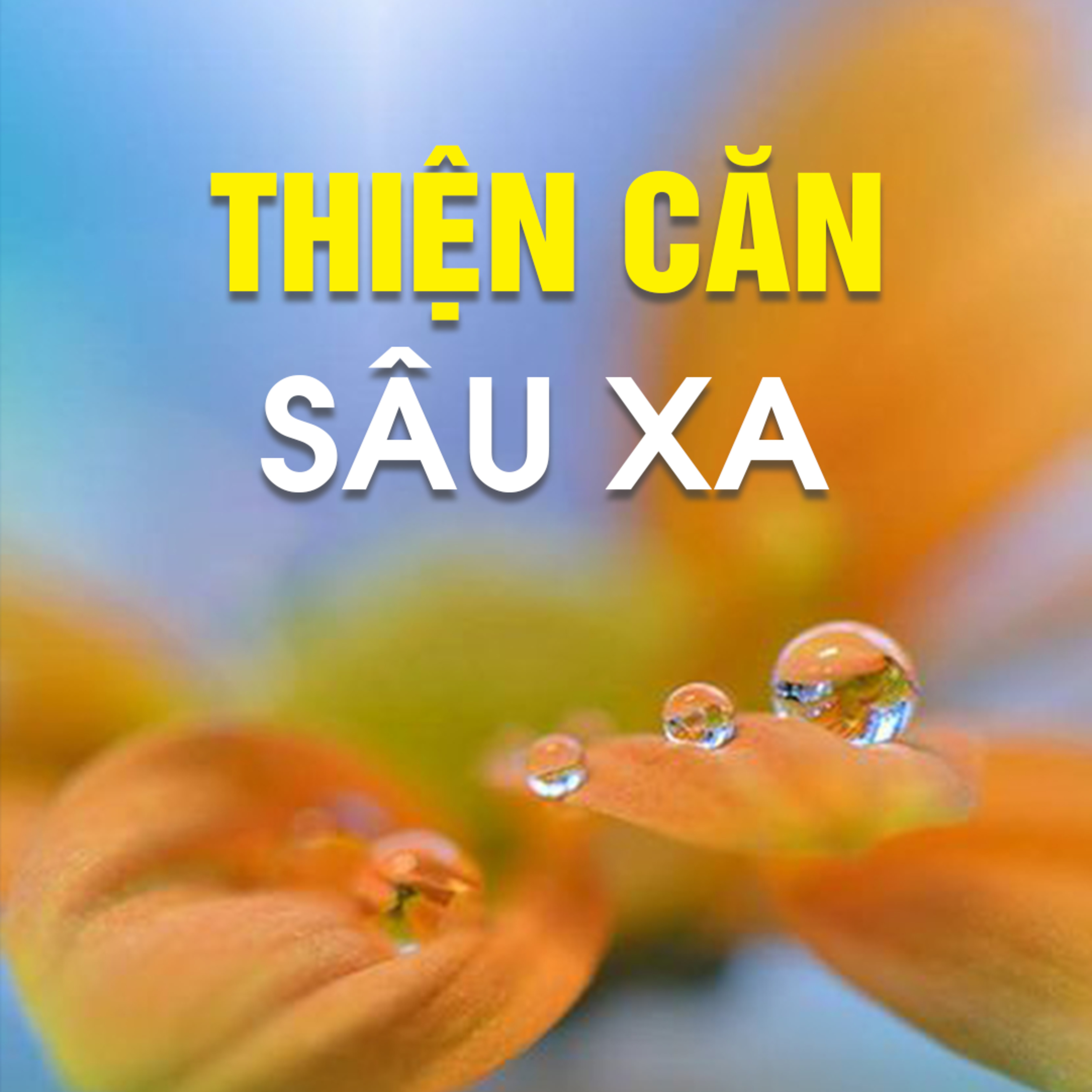 THIỆN CĂN SÂU XA A - Kinh Kim Cang 05  episode artwork