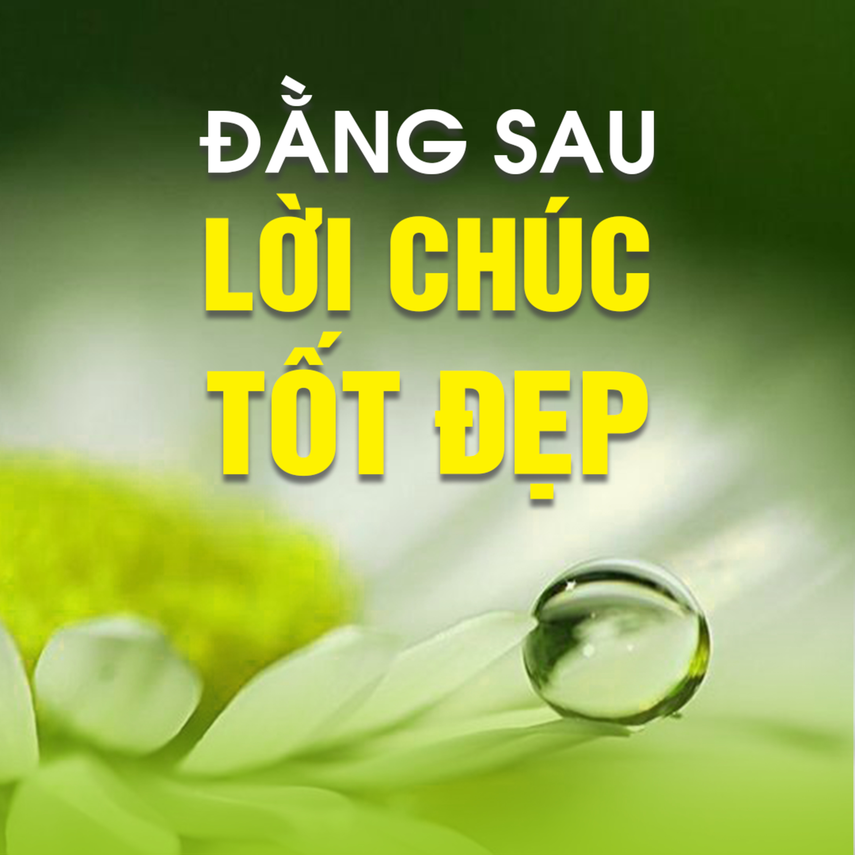 ĐẰNG SAU LỜI CHÚC TỐT ĐẸP