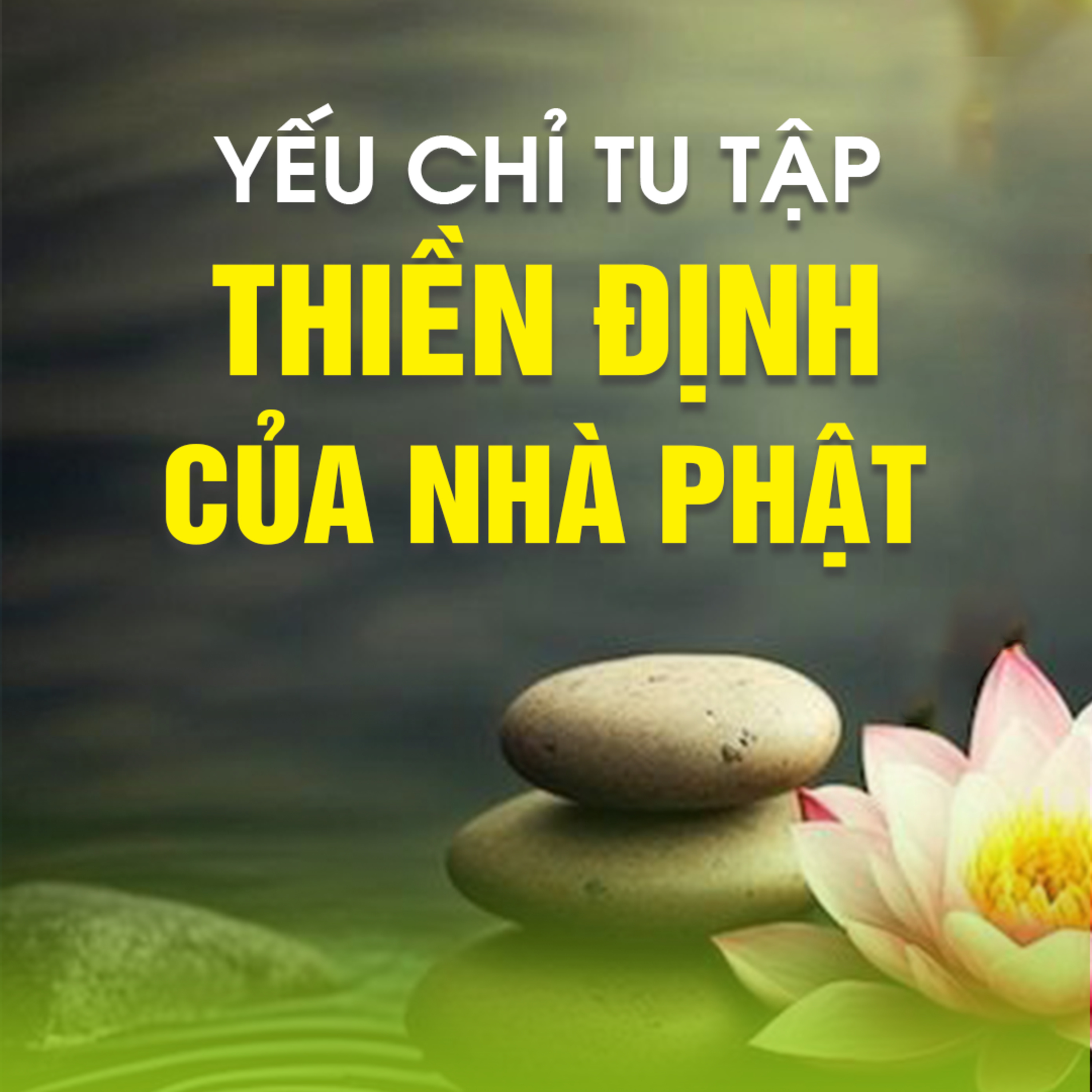 YẾU CHỈ TU TẬP THIỀN ĐỊNH CỦA NHÀ PHẬT  episode artwork