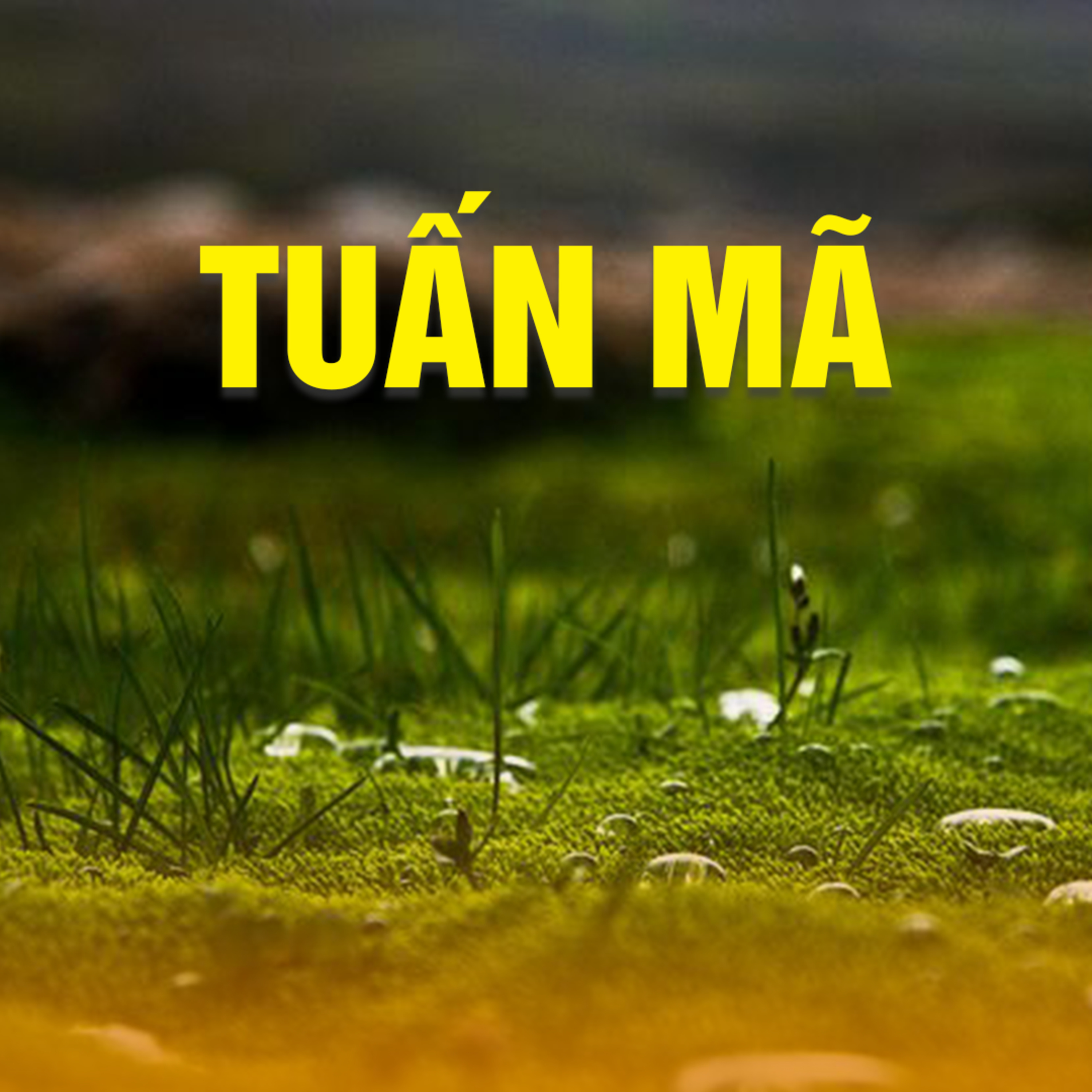 TUẤN MÃ B - Pháp Cú 11  episode artwork