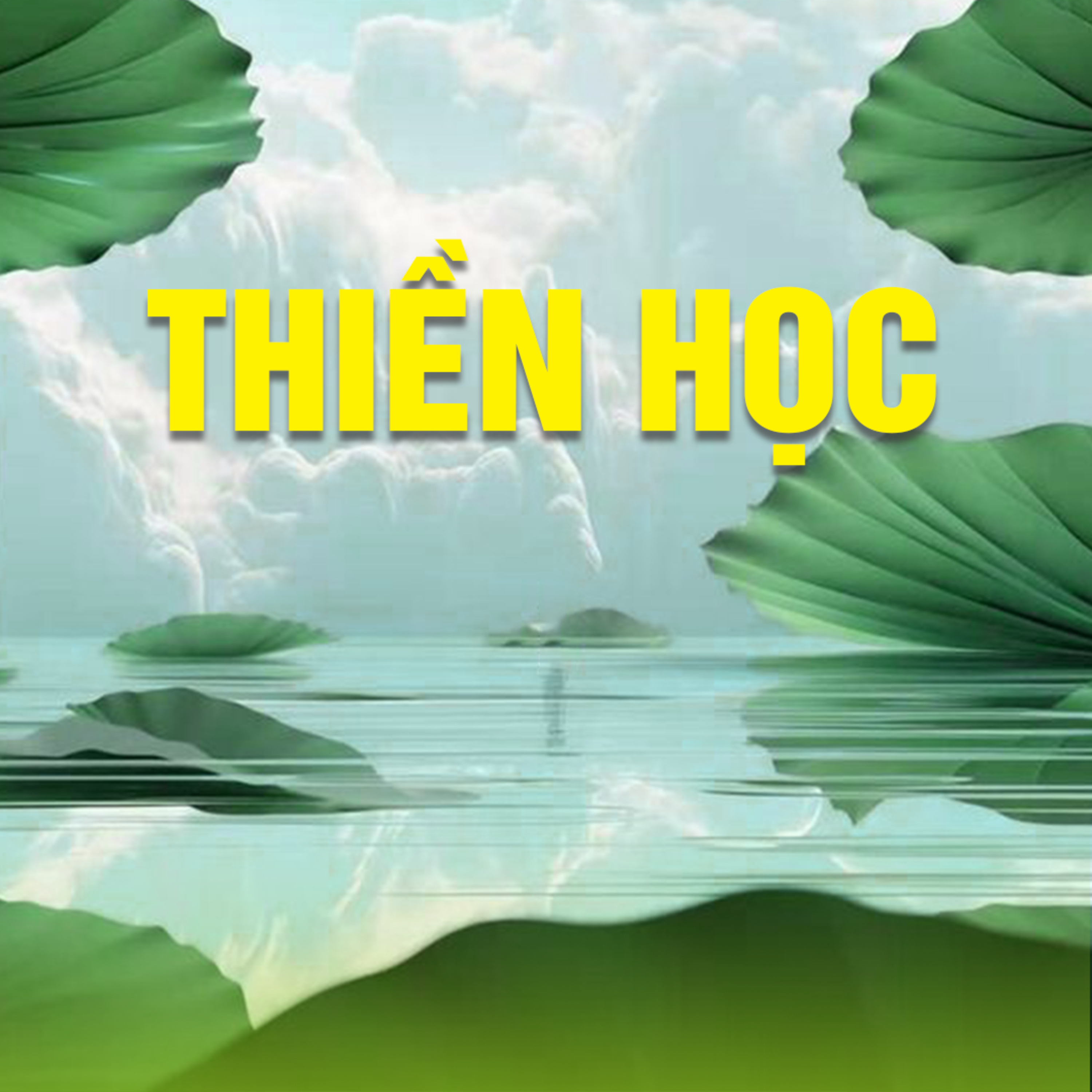 THIỀN HỌC 11 - CHÁNH NIỆM A episode artwork