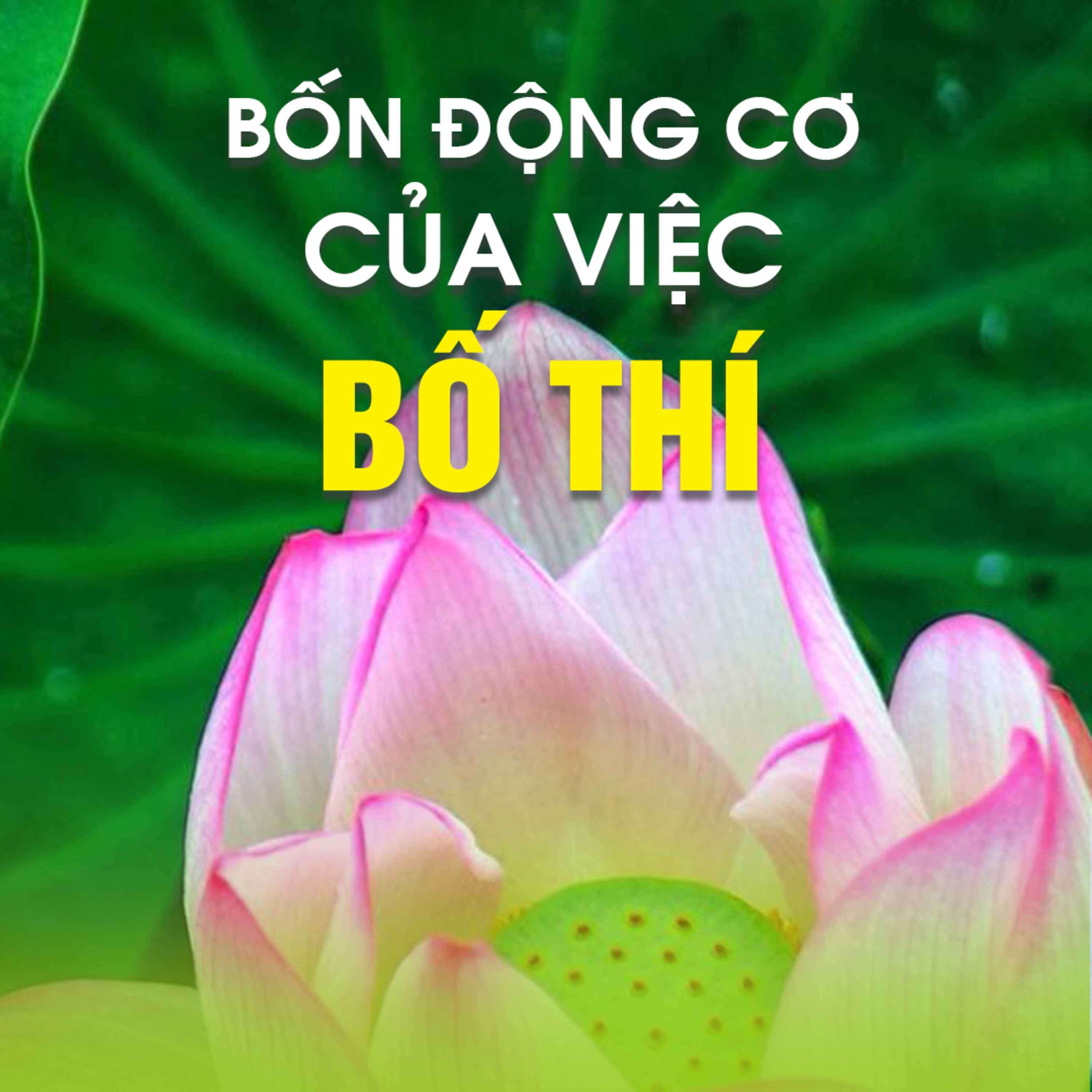 BỐN ĐỘNG CƠ CỦA VIỆC BỐ THÍ episode artwork