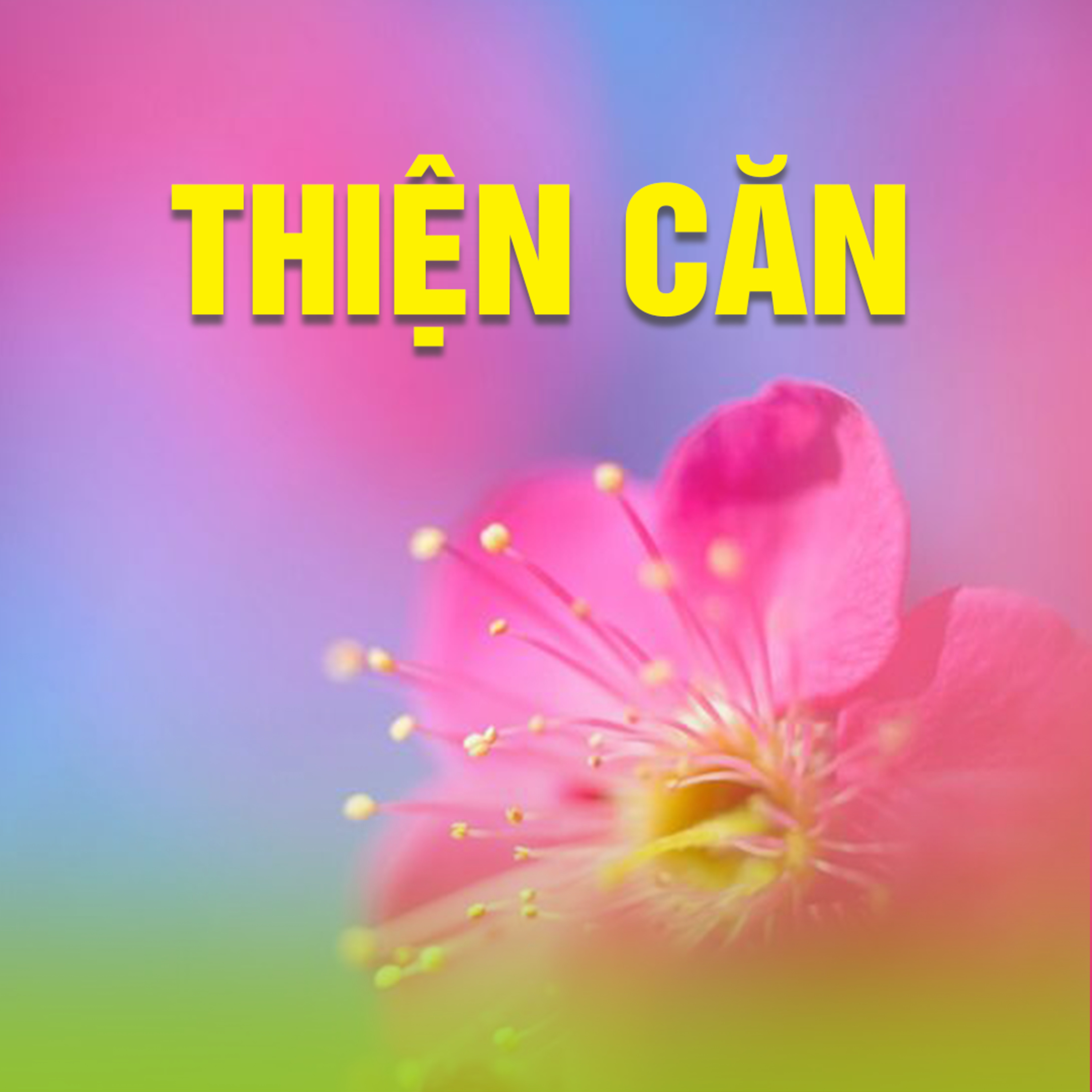 THIỆN CĂN A episode artwork