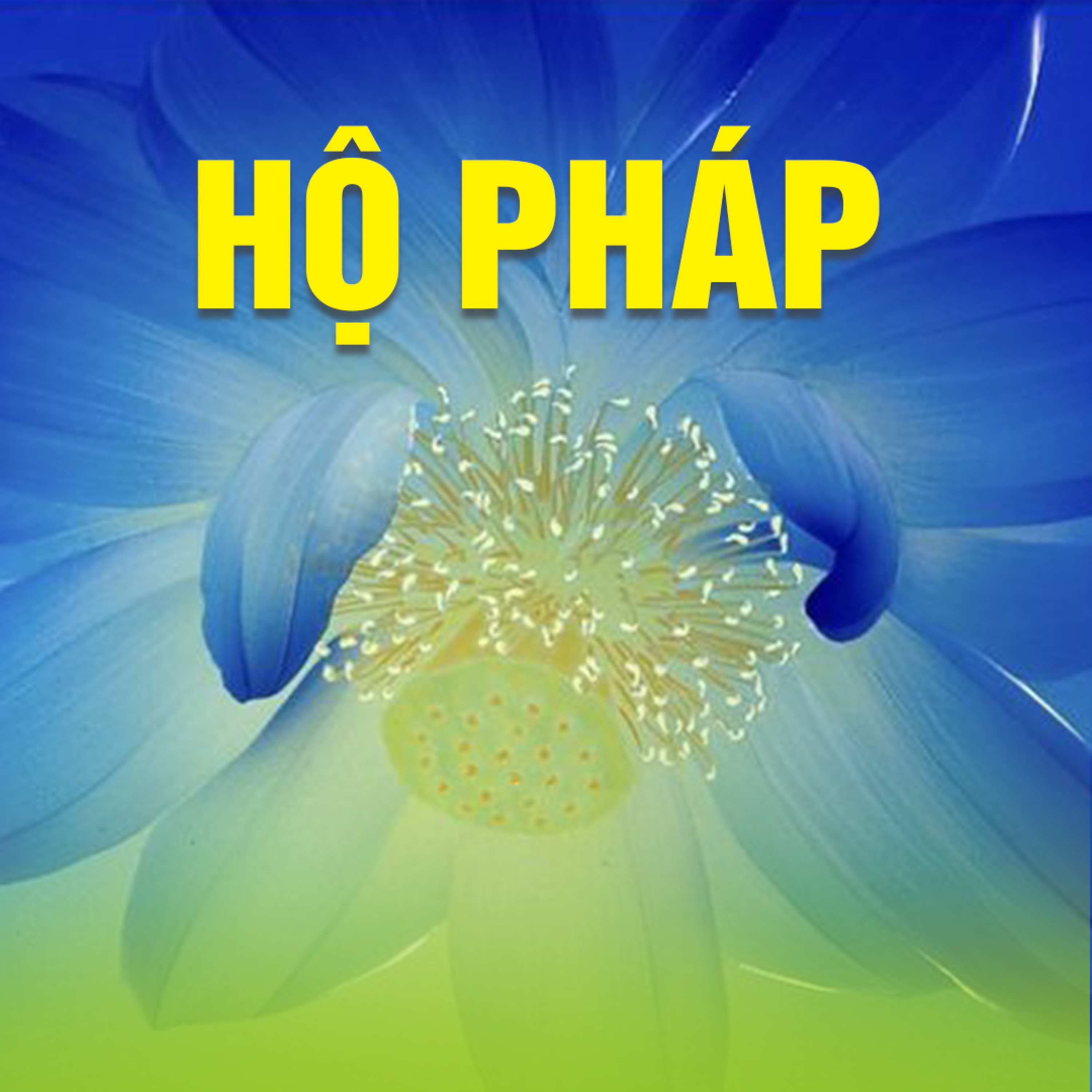HỘ PHÁP 2  episode artwork