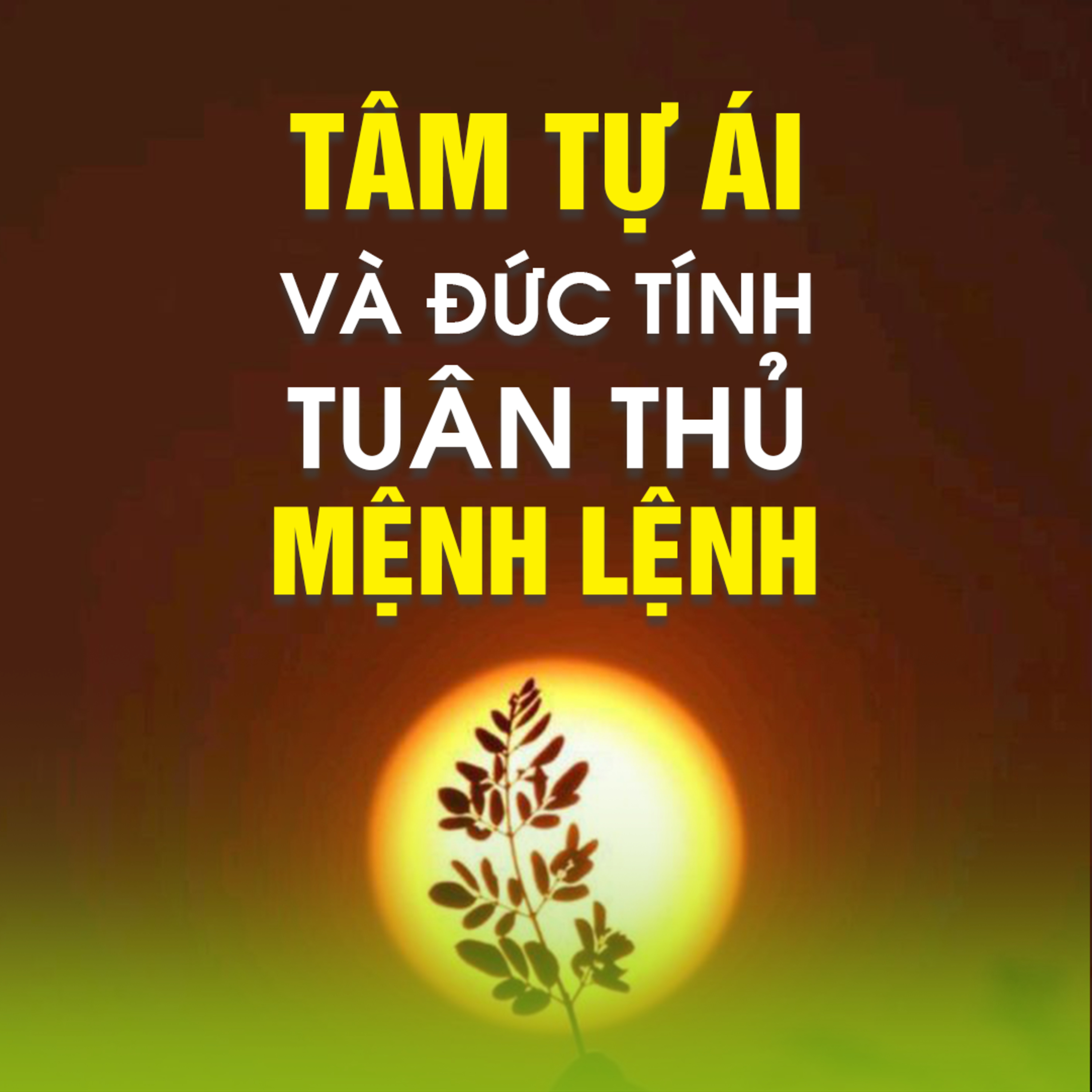 TÂM TỰ ÁI VÀ ĐỨC TÍNH TUÂN THỦ MỆNH LỆNH A episode artwork