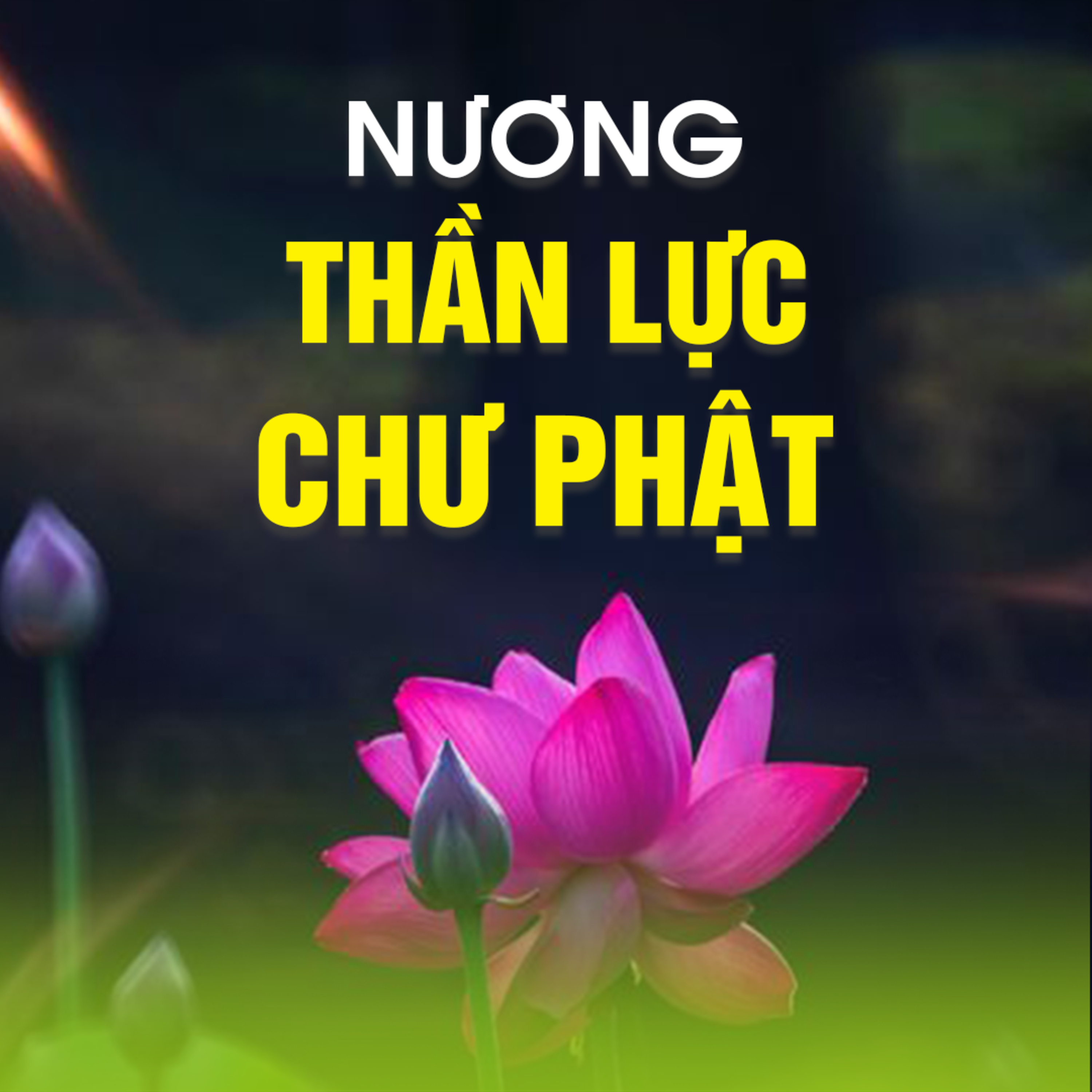 NƯƠNG THẦN LỰC CHƯ PHẬT A