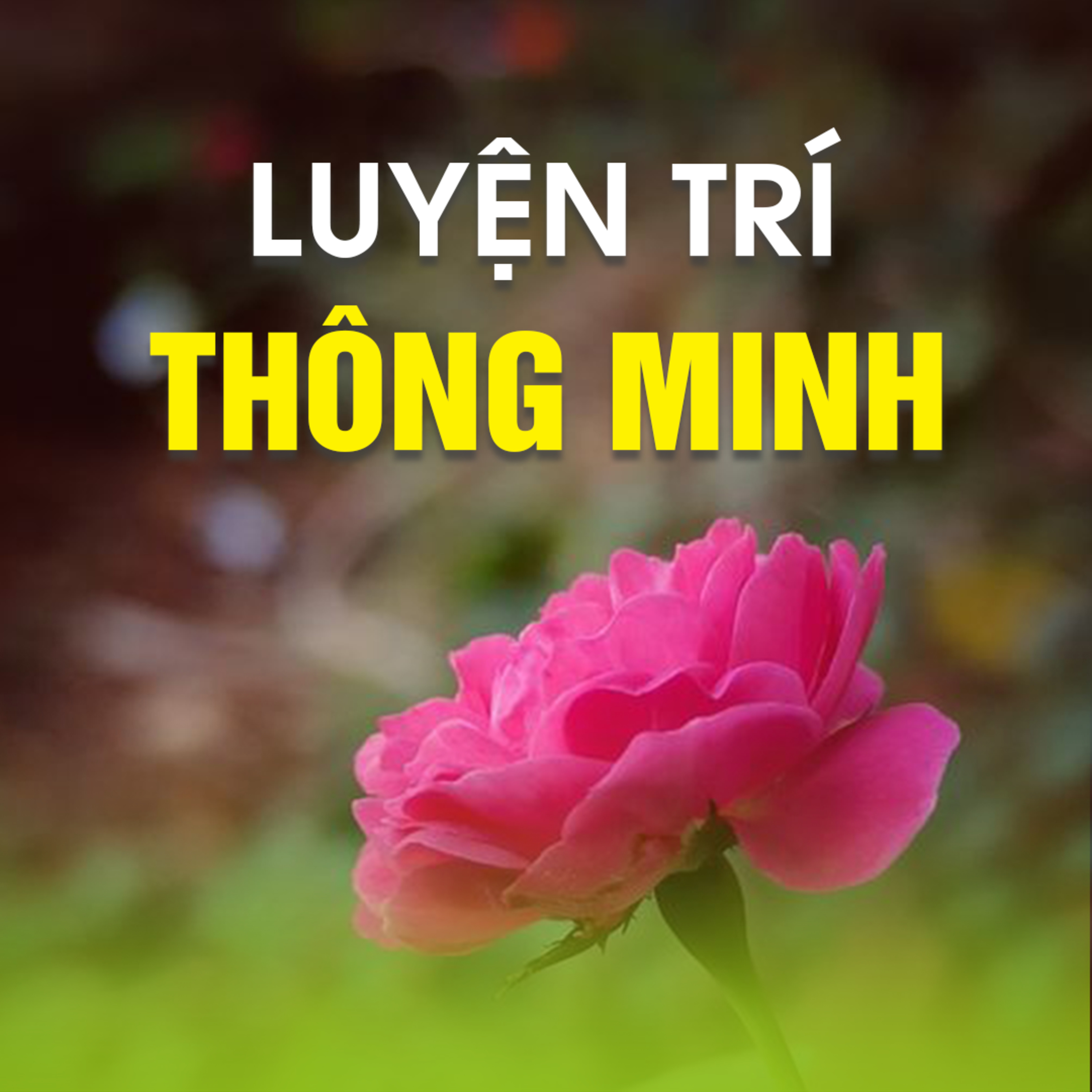 LUYỆN TRÍ THÔNG MINH  episode artwork