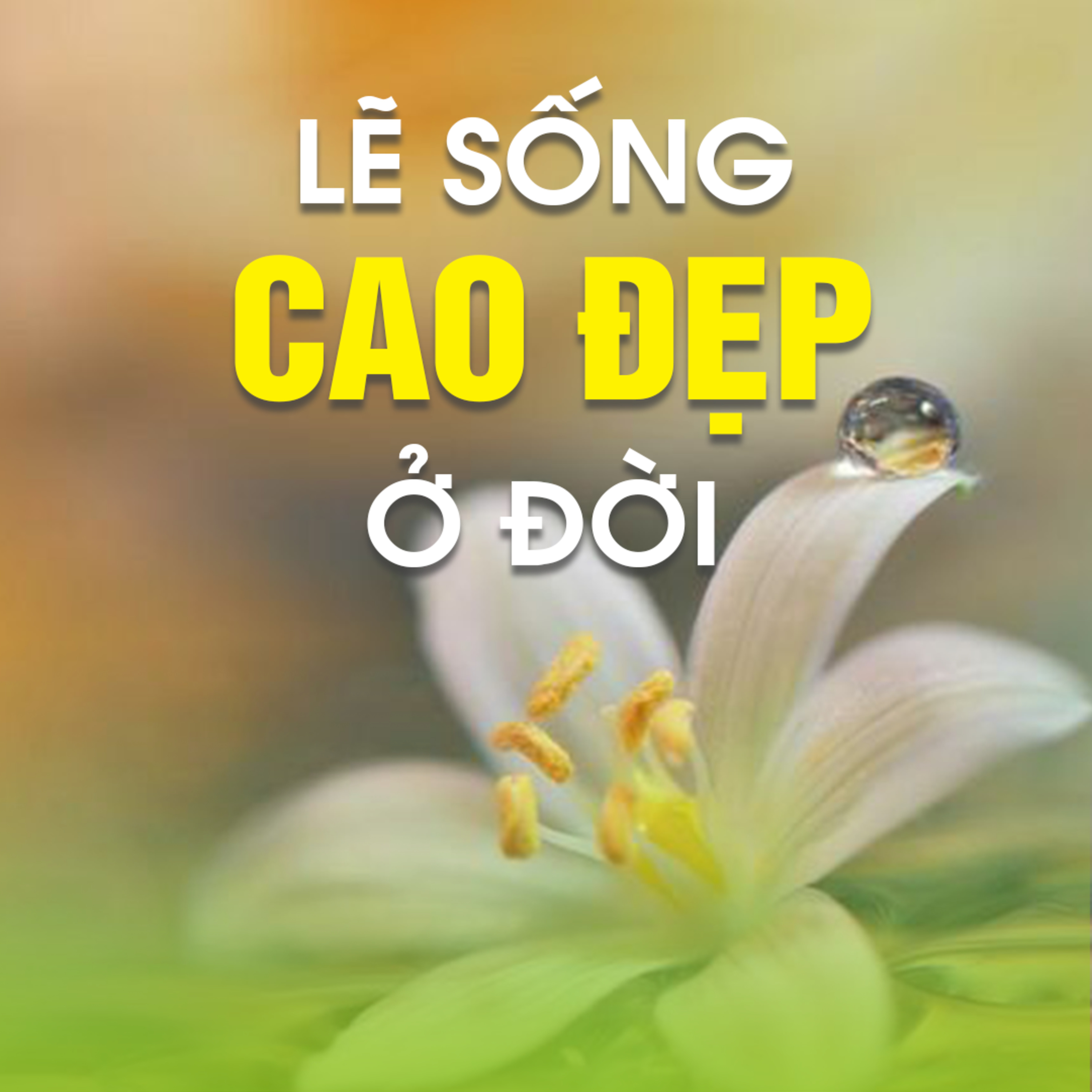 LẼ SỐNG CAO ĐẸP Ở ĐỜI  episode artwork