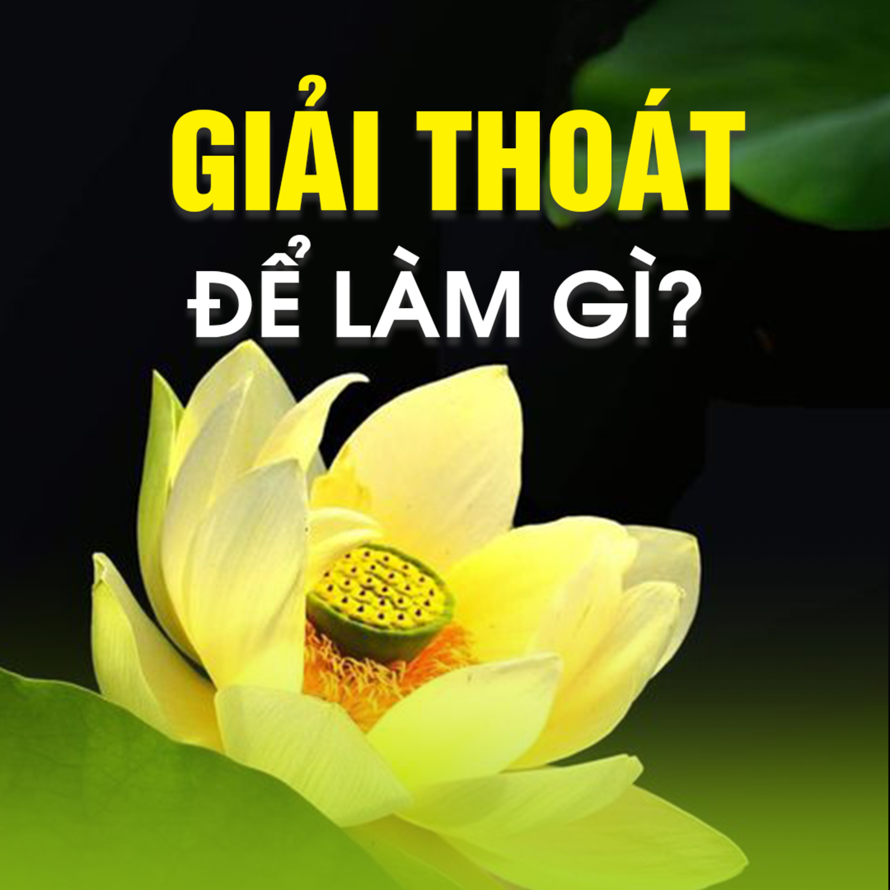 GIẢI THOÁT ĐỂ LÀM GÌ A ? episode artwork
