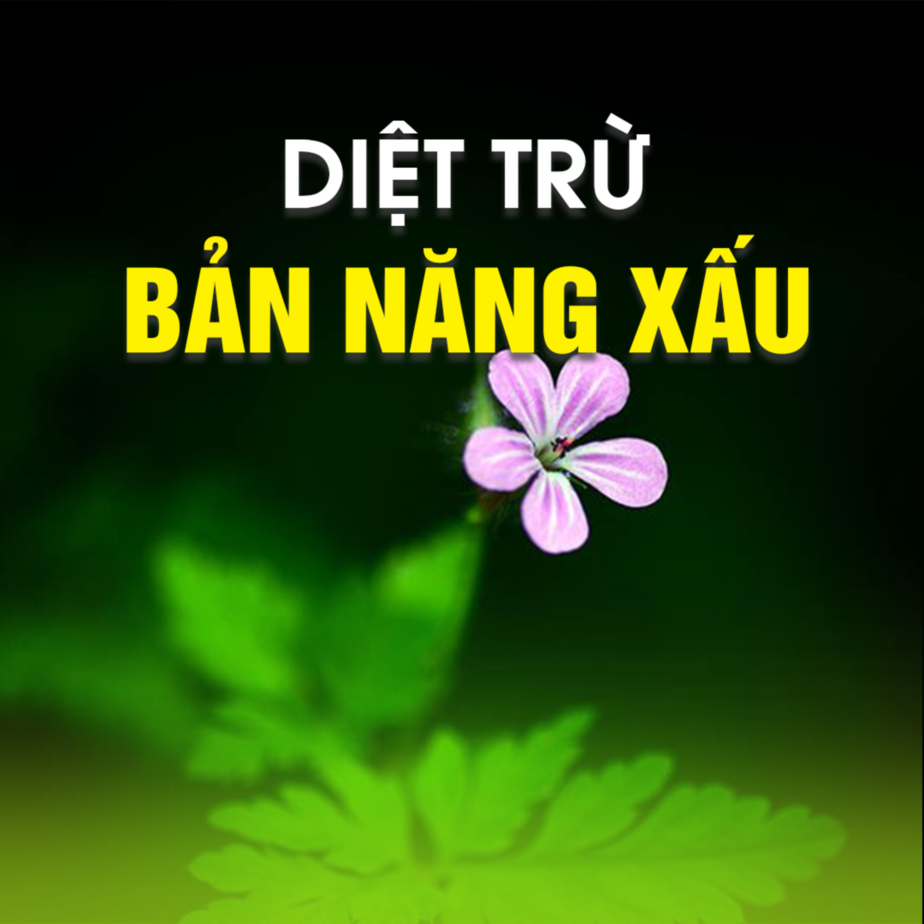 DIỆT TRỪ BẢN NĂNG XẤU 