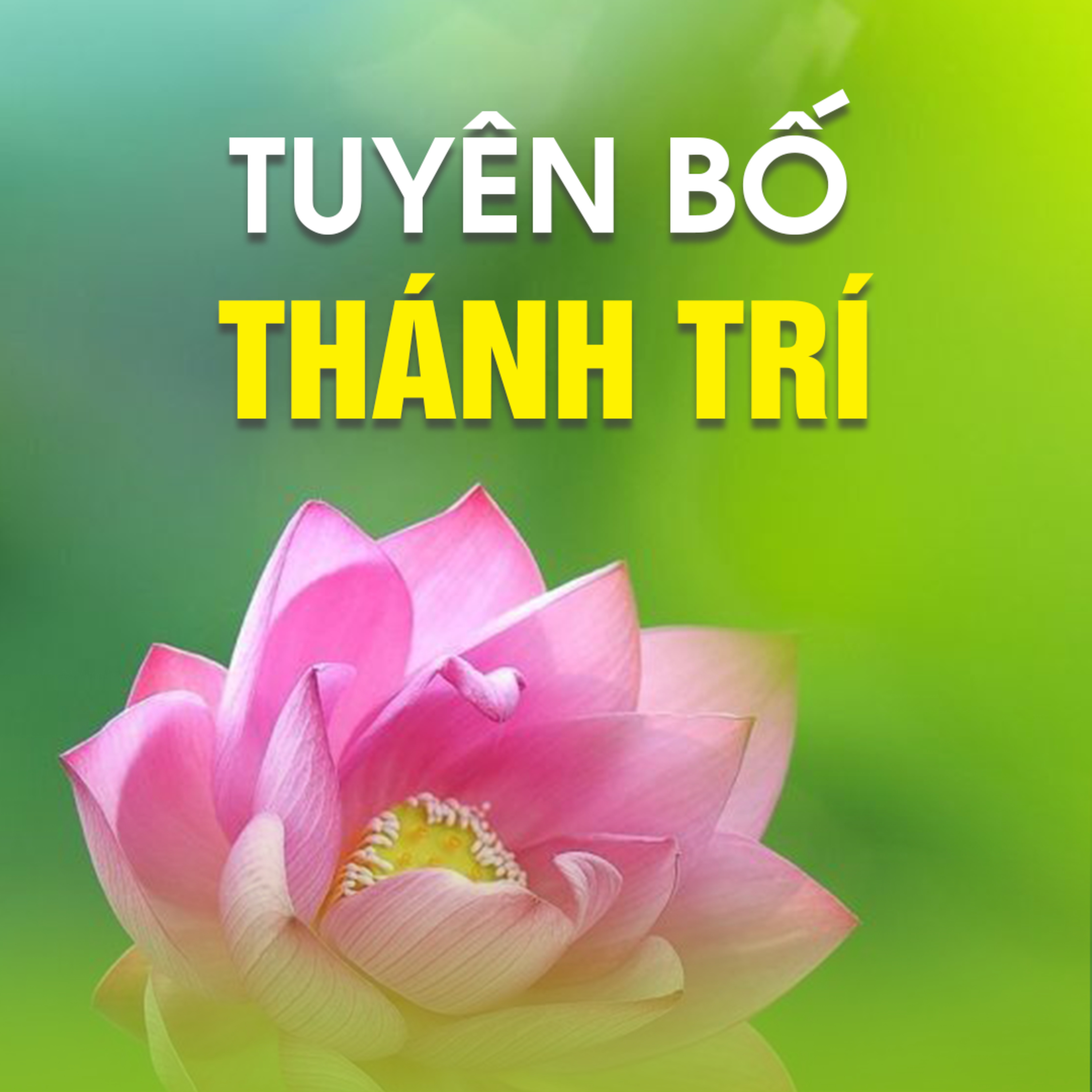 TUYÊN BỐ THÁNH TRÍ B - Pháp cú 75  episode artwork