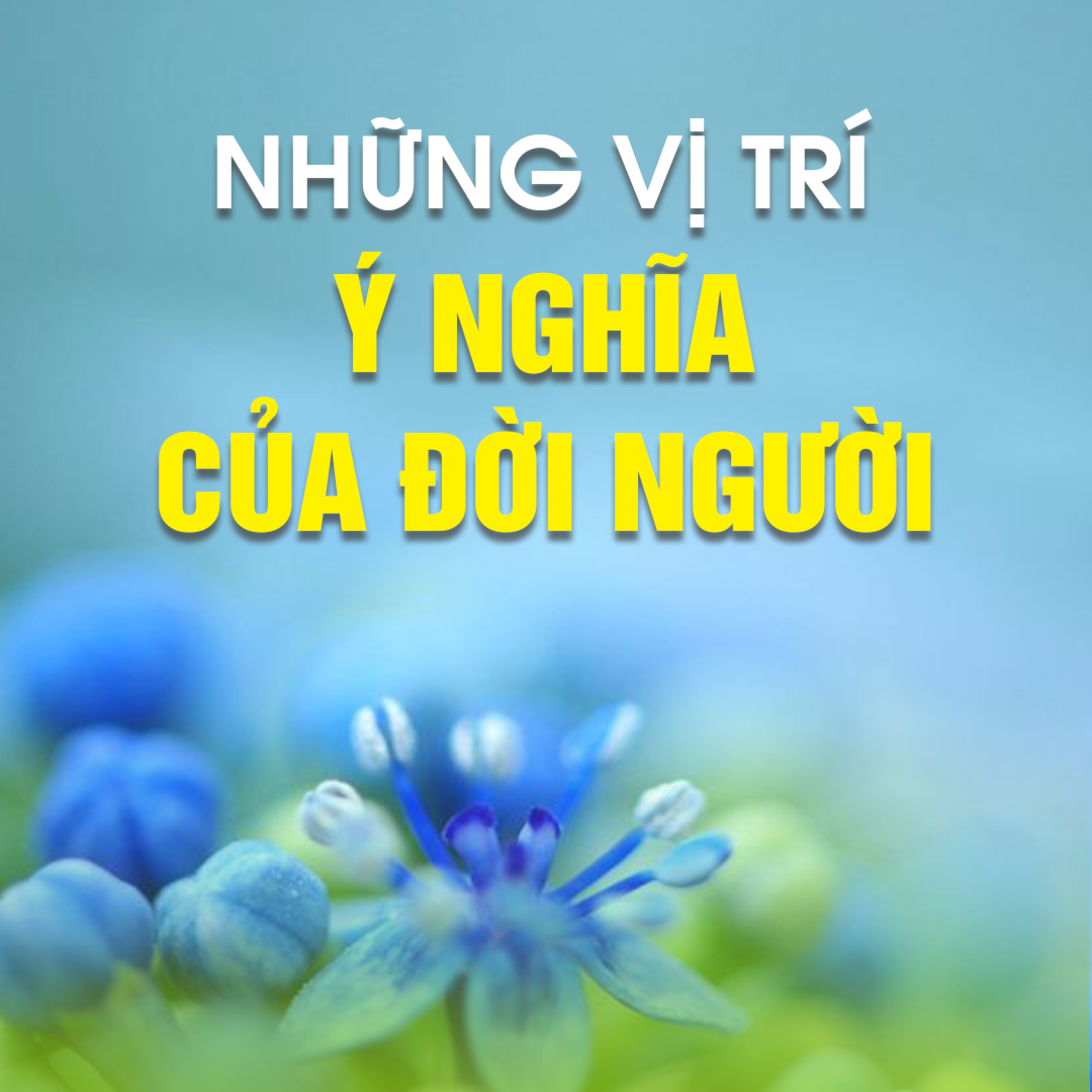 NHỮNG VỊ TRÍ Ý NGHĨA CỦA ĐỜI NGƯỜI 