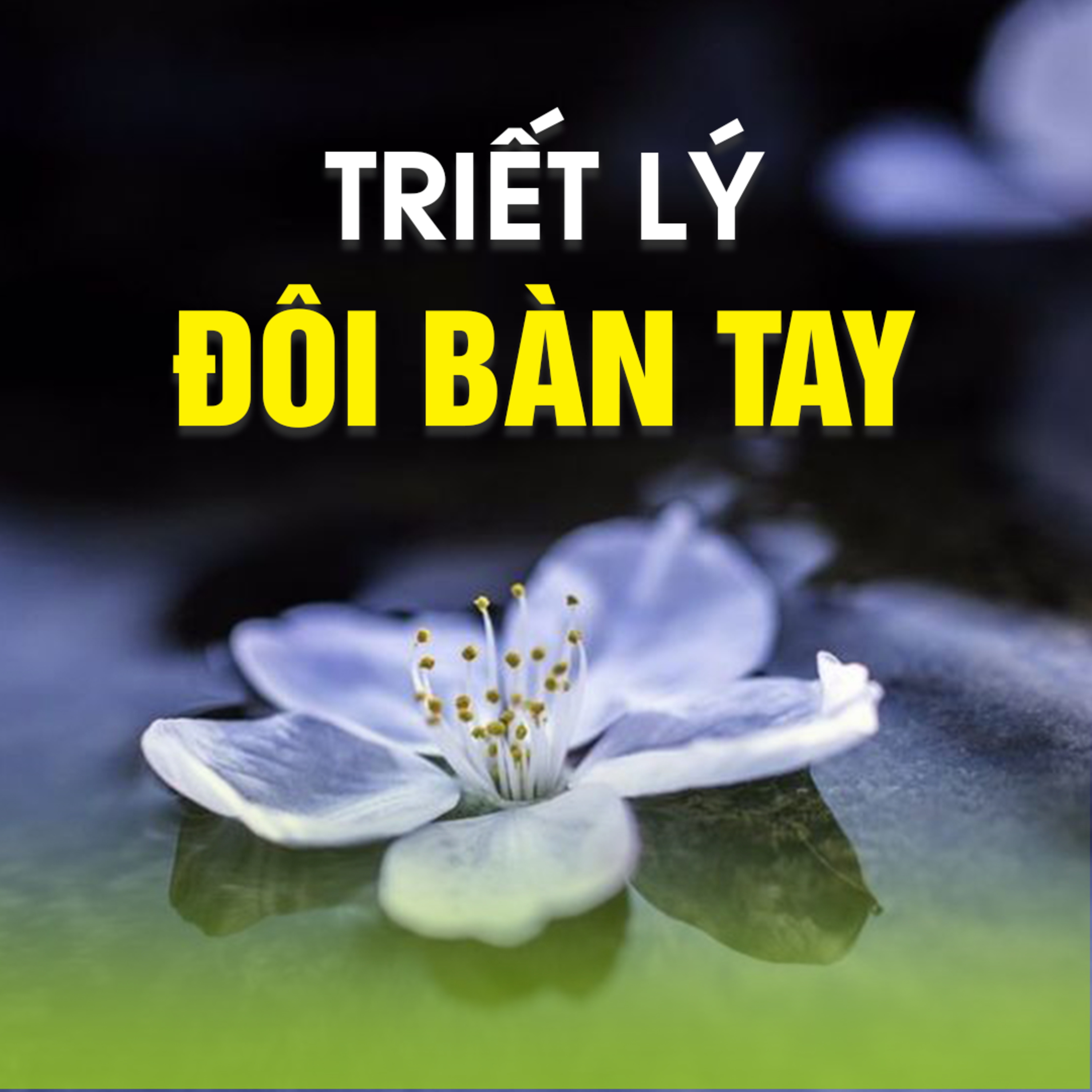 TRIẾT LÝ ĐÔI BÀN TAY A episode artwork