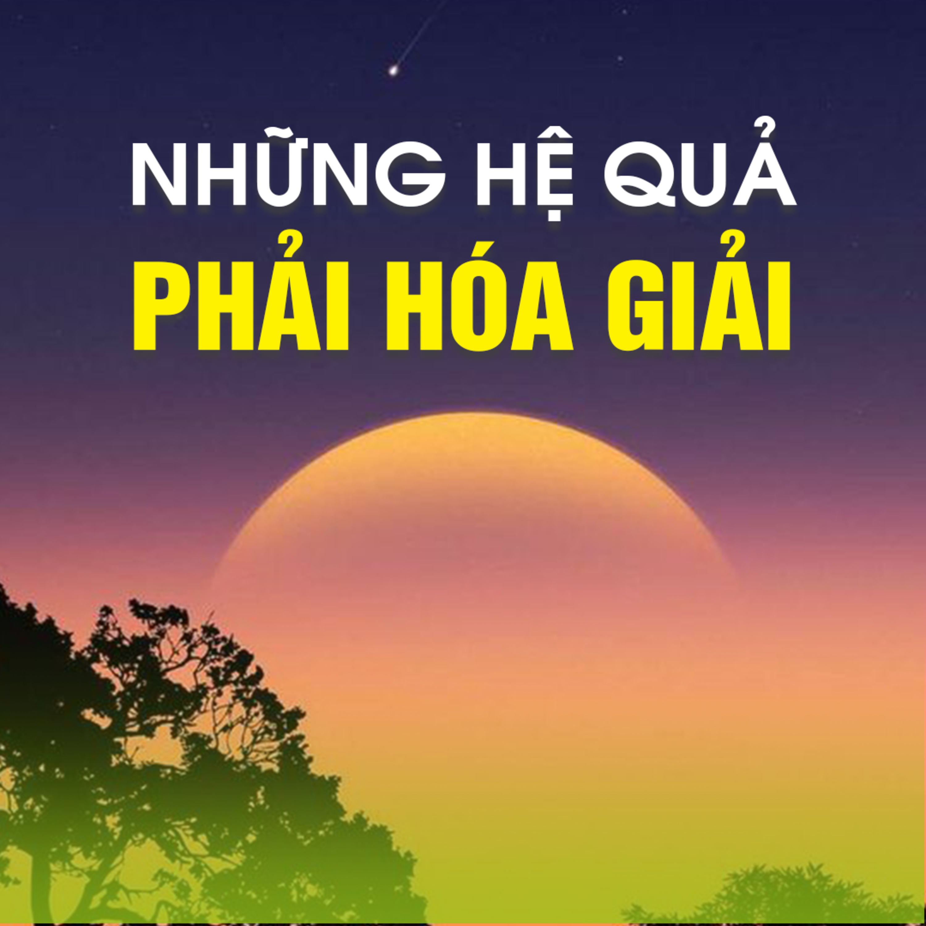 NHỮNG HỆ QUẢ PHẢI HÓA GIẢI  episode artwork