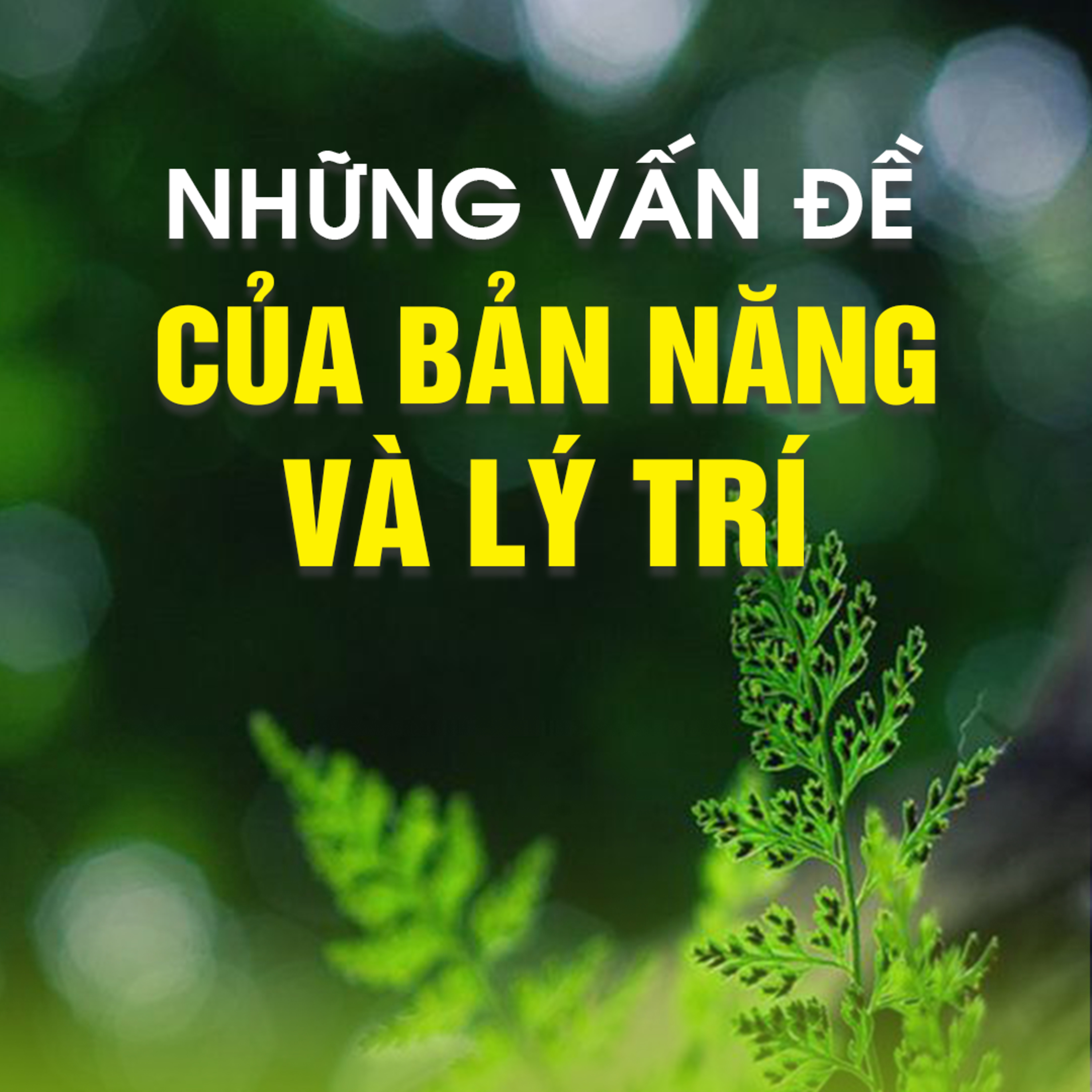 NHỮNG VẤN ĐỀ CỦA BẢN NĂNG VÀ LÝ TRÍ  episode artwork