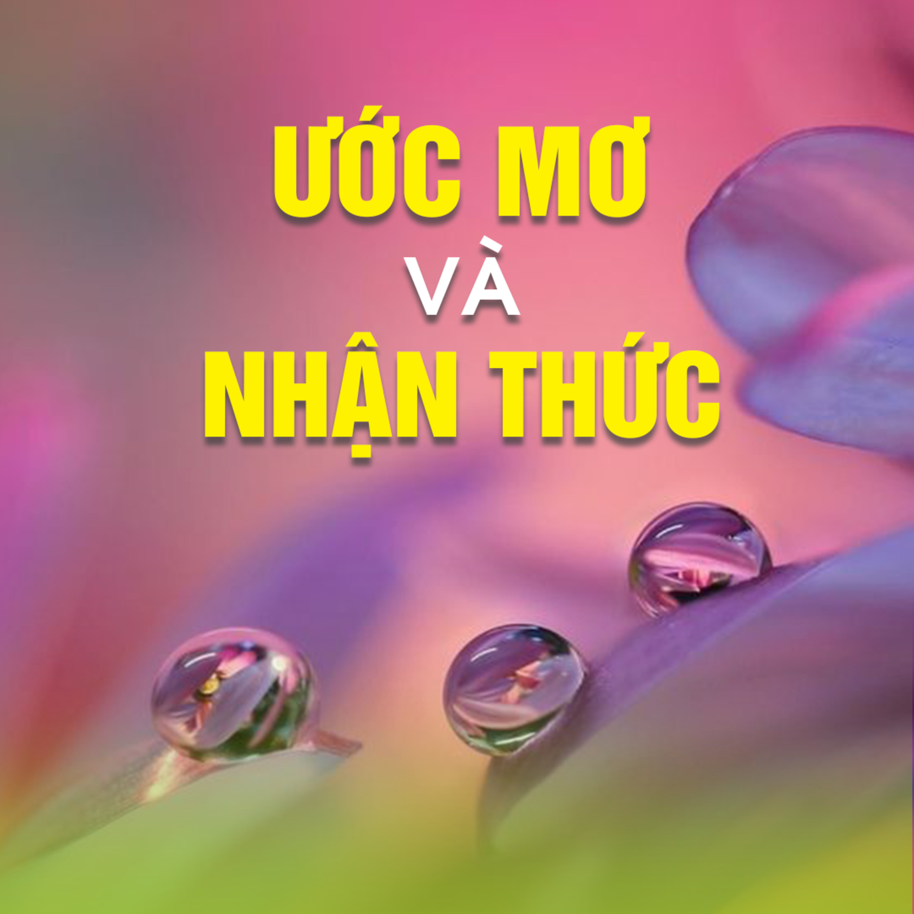 ƯỚC MƠ VÀ NHẬN THỨC  episode artwork