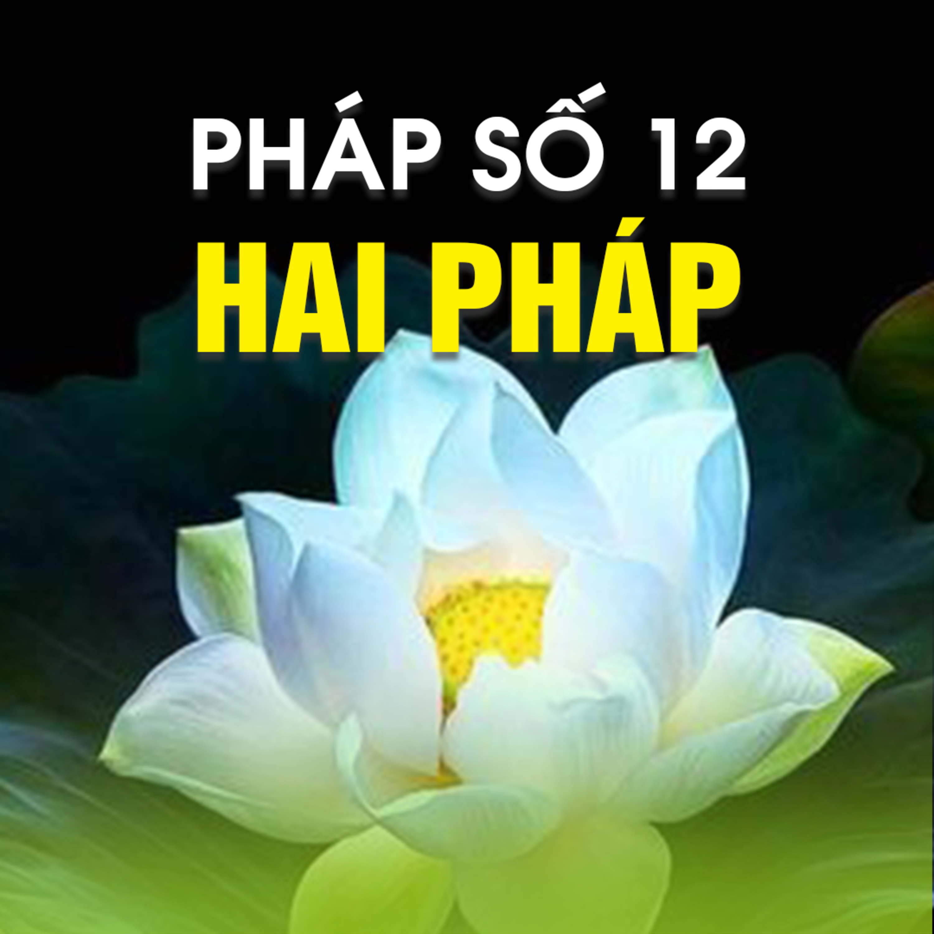 PHÁP ÂM