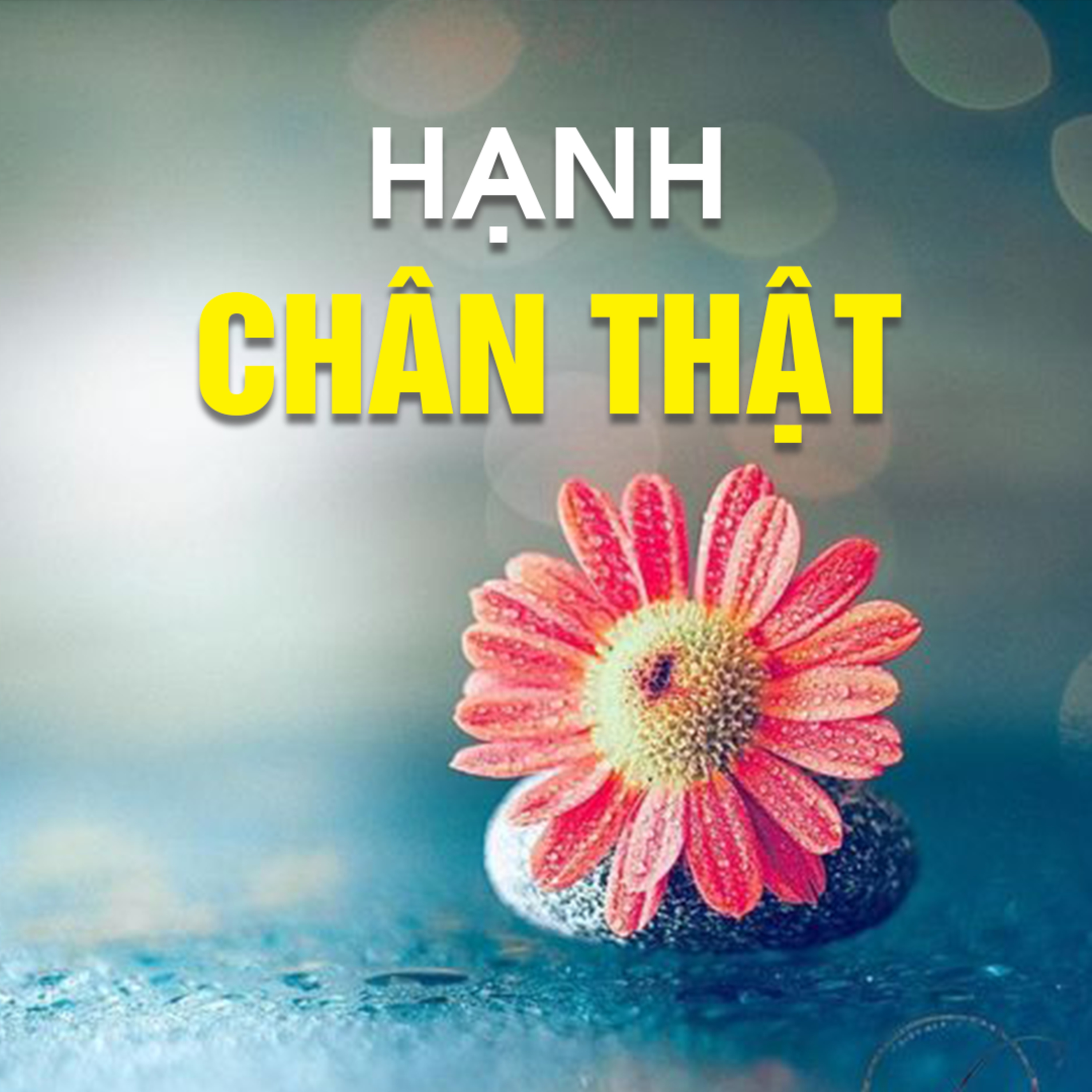 HẠNH CHÂN THẬT B episode artwork