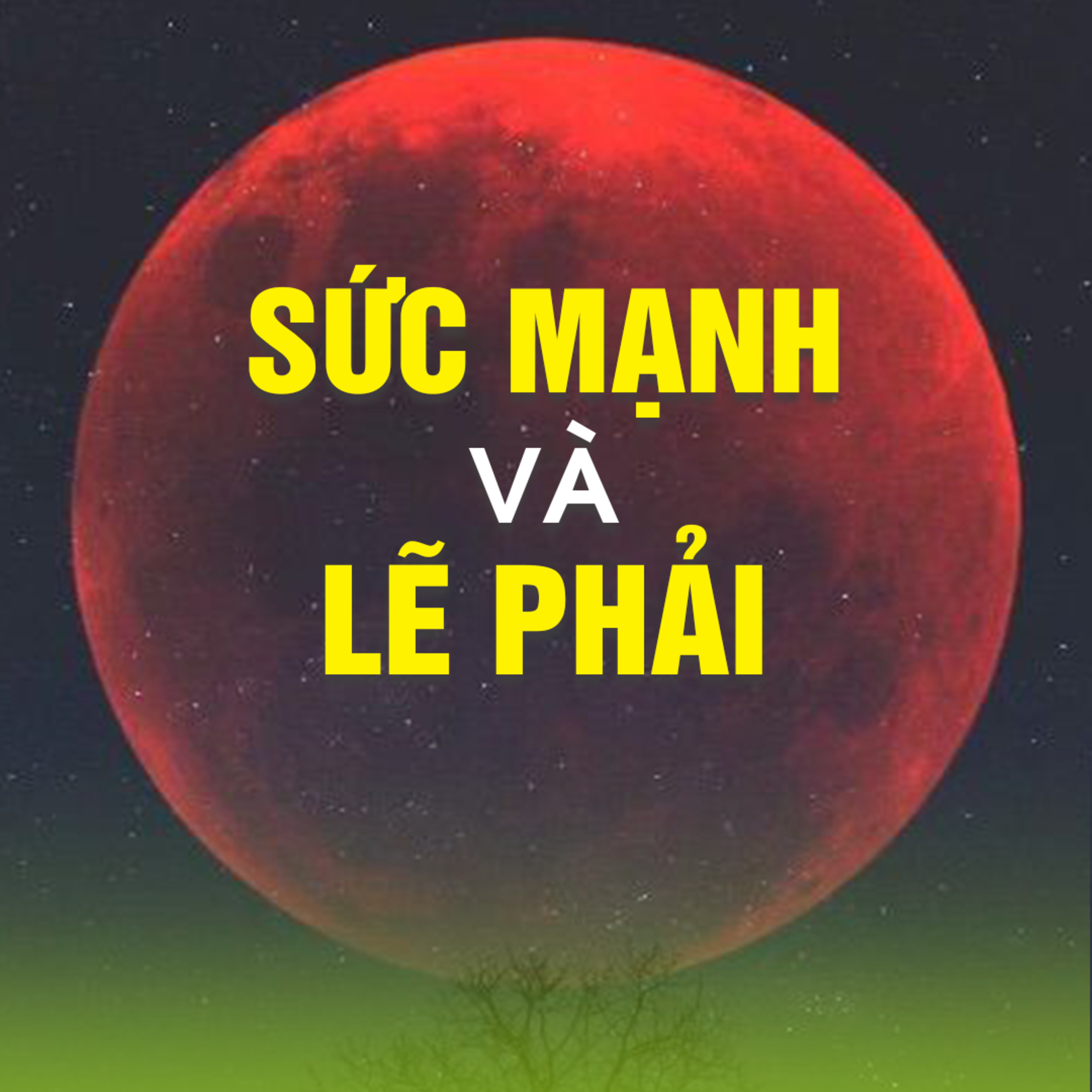 SỨC MẠNH VÀ LẼ PHẢI B episode artwork