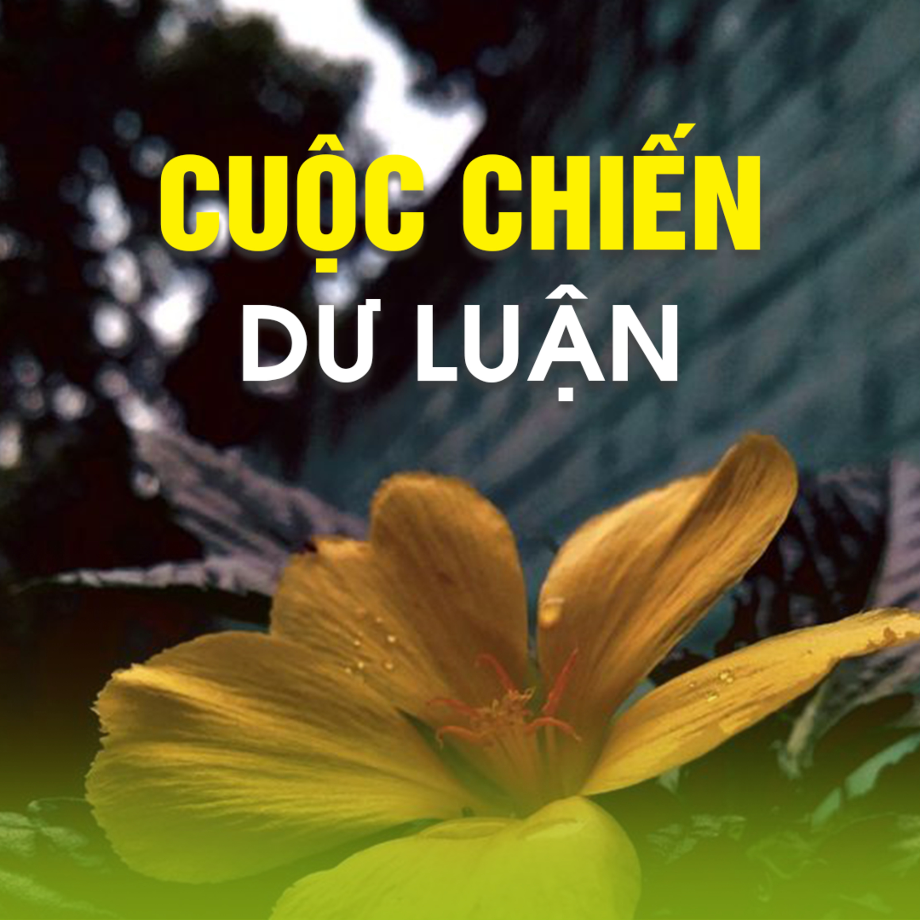 CUỘC CHIẾN DƯ LUẬN  episode artwork