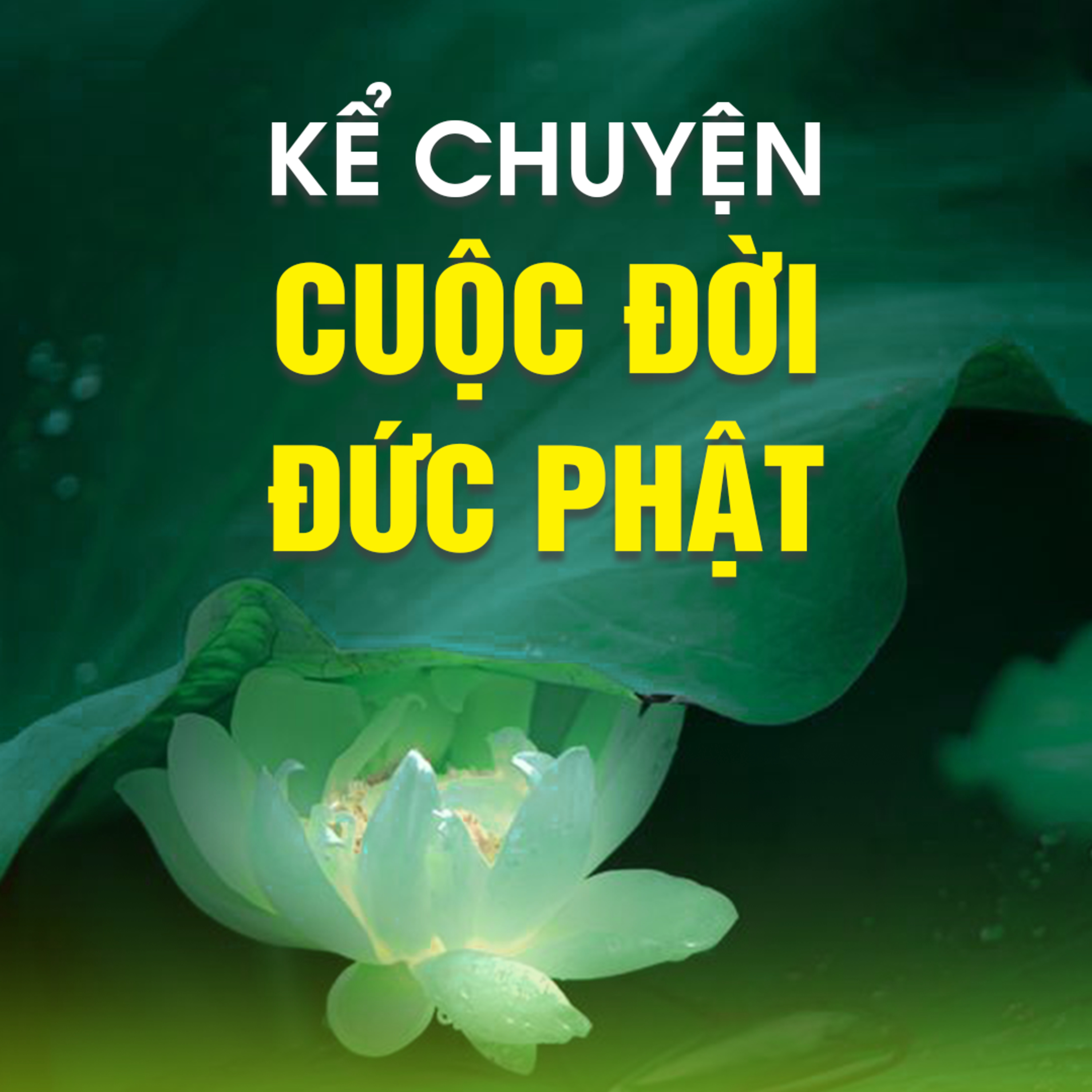 KỂ CHUYỆN CUỘC ĐỜI ĐỨC PHẬT B episode artwork