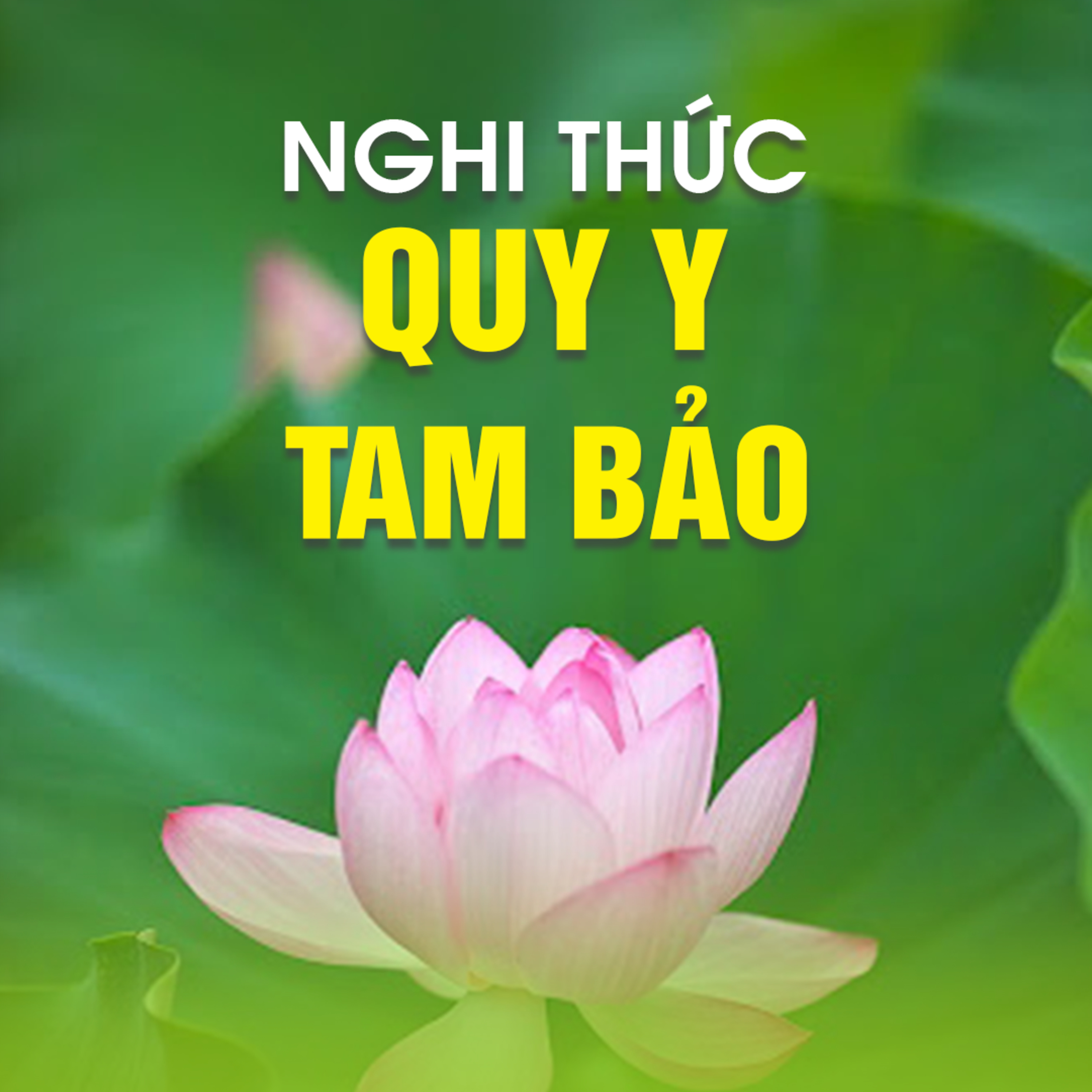 NGHI THỨC QUY Y TAM BẢO  episode artwork