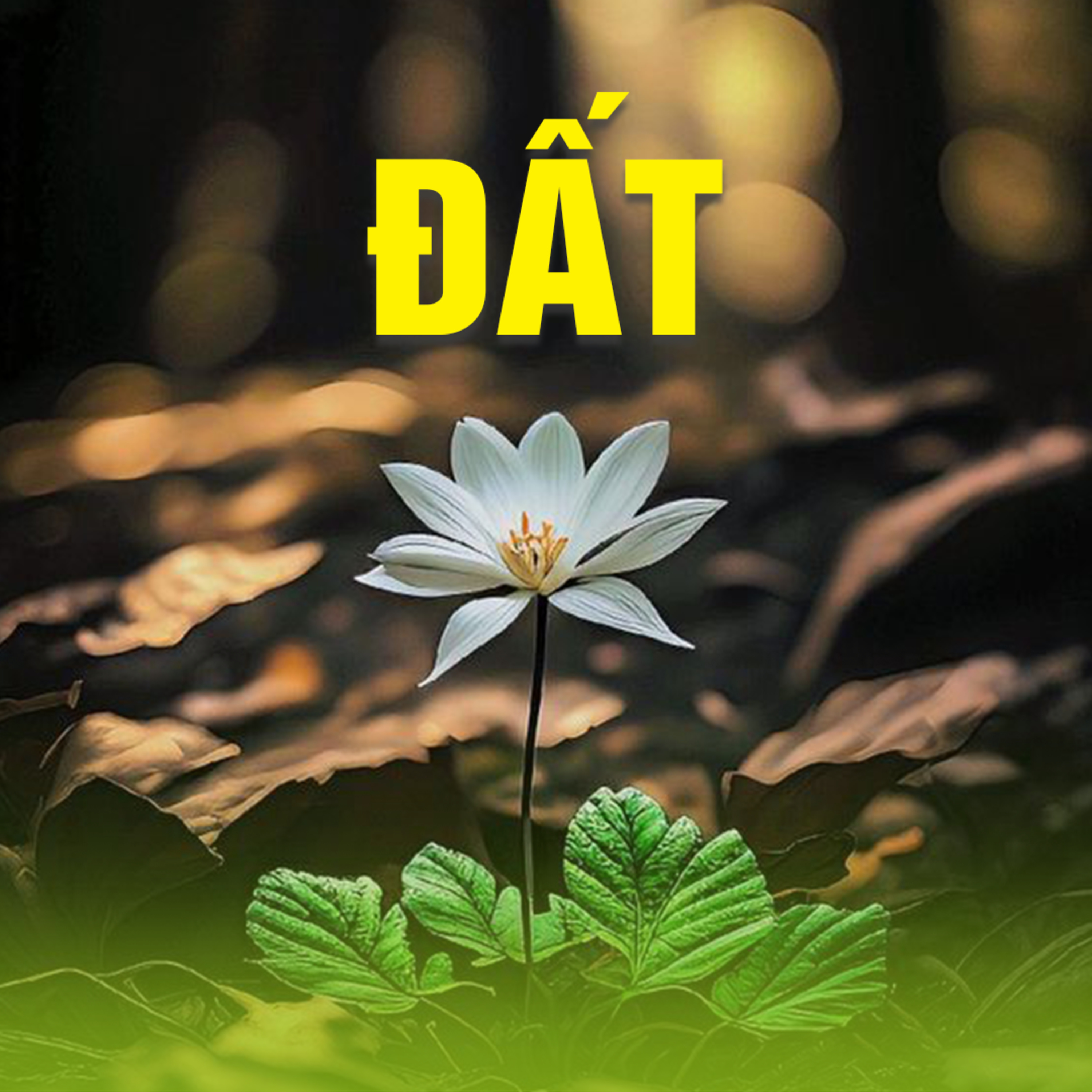 ĐẤT A episode artwork