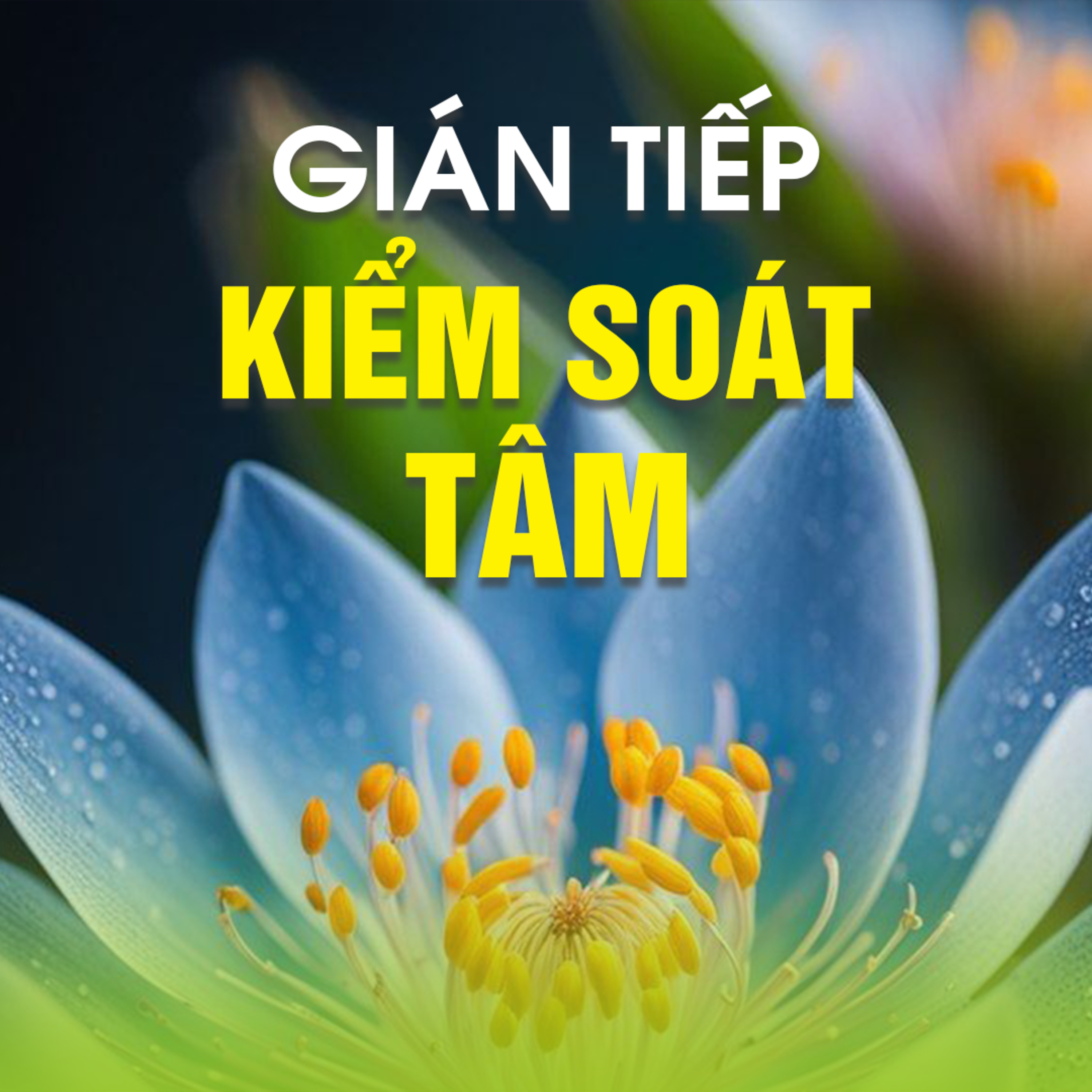 GIÁN TIẾP KIỂM SOÁT TÂM - Chùa Phật Ngọc Xá Lợi