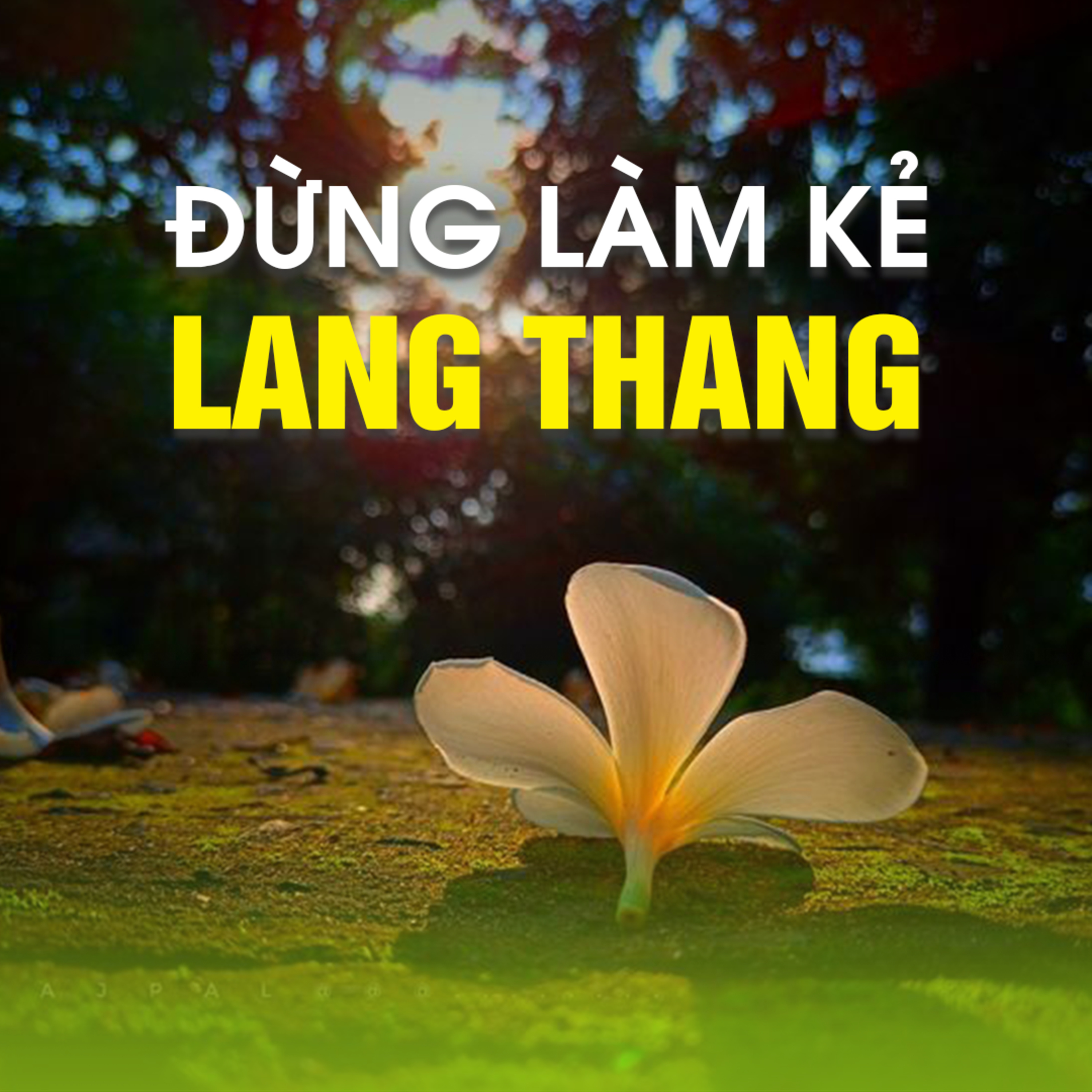 ĐỪNG LÀM KẺ LANG THANG A - Pháp Cú 69  episode artwork