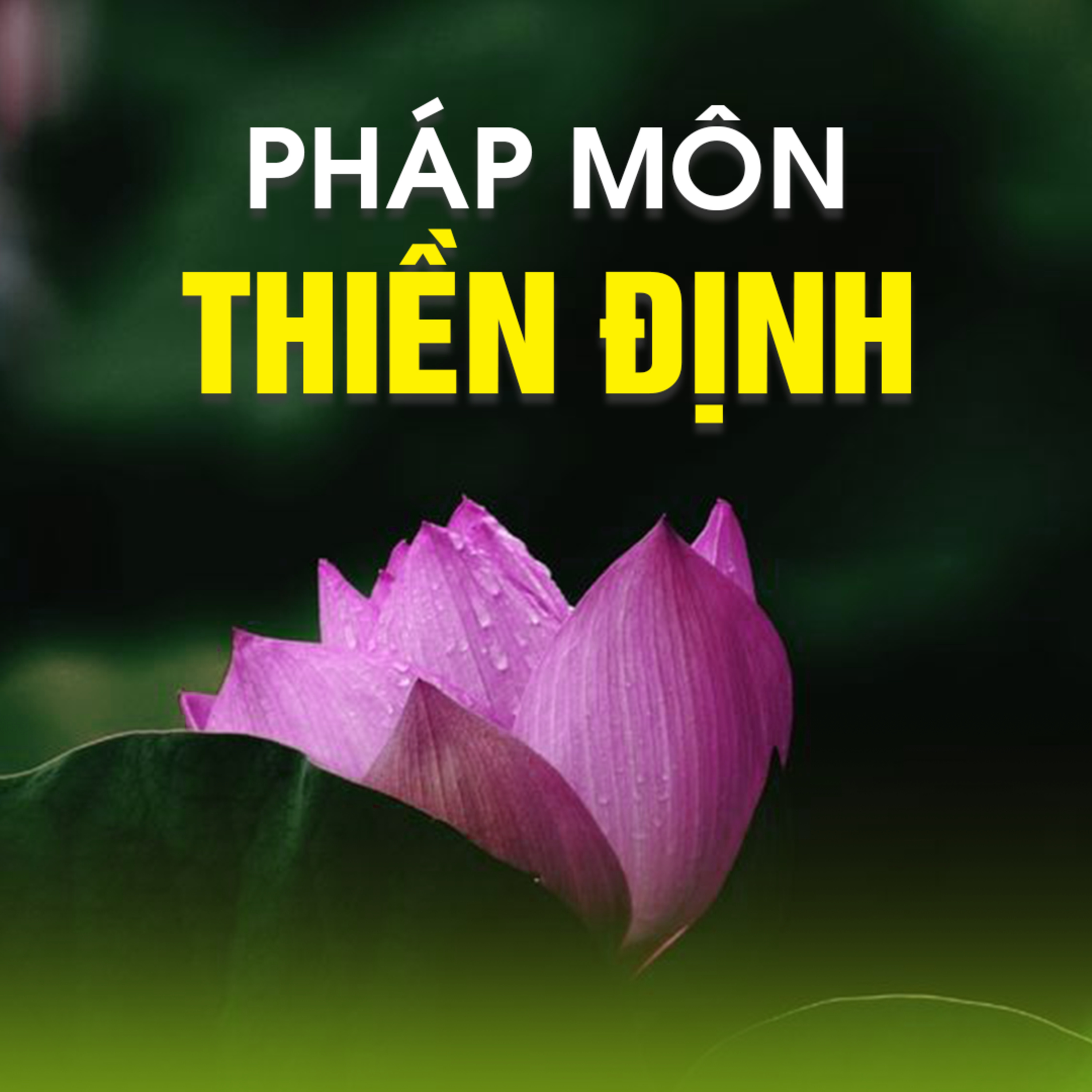 PHÁP MÔN THIỀN ĐỊNH A episode artwork