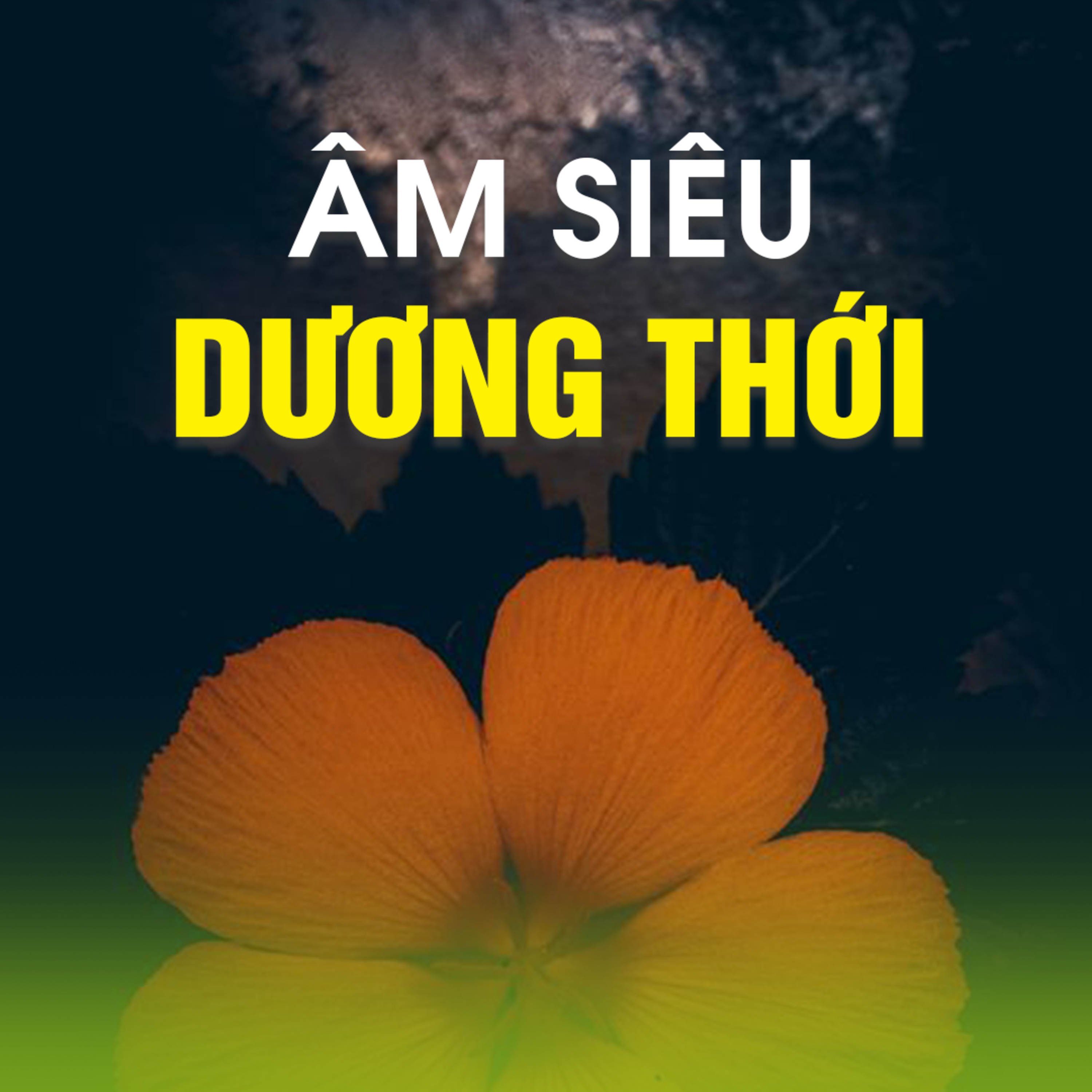 ÂM SIÊU DƯƠNG THỚI B episode artwork