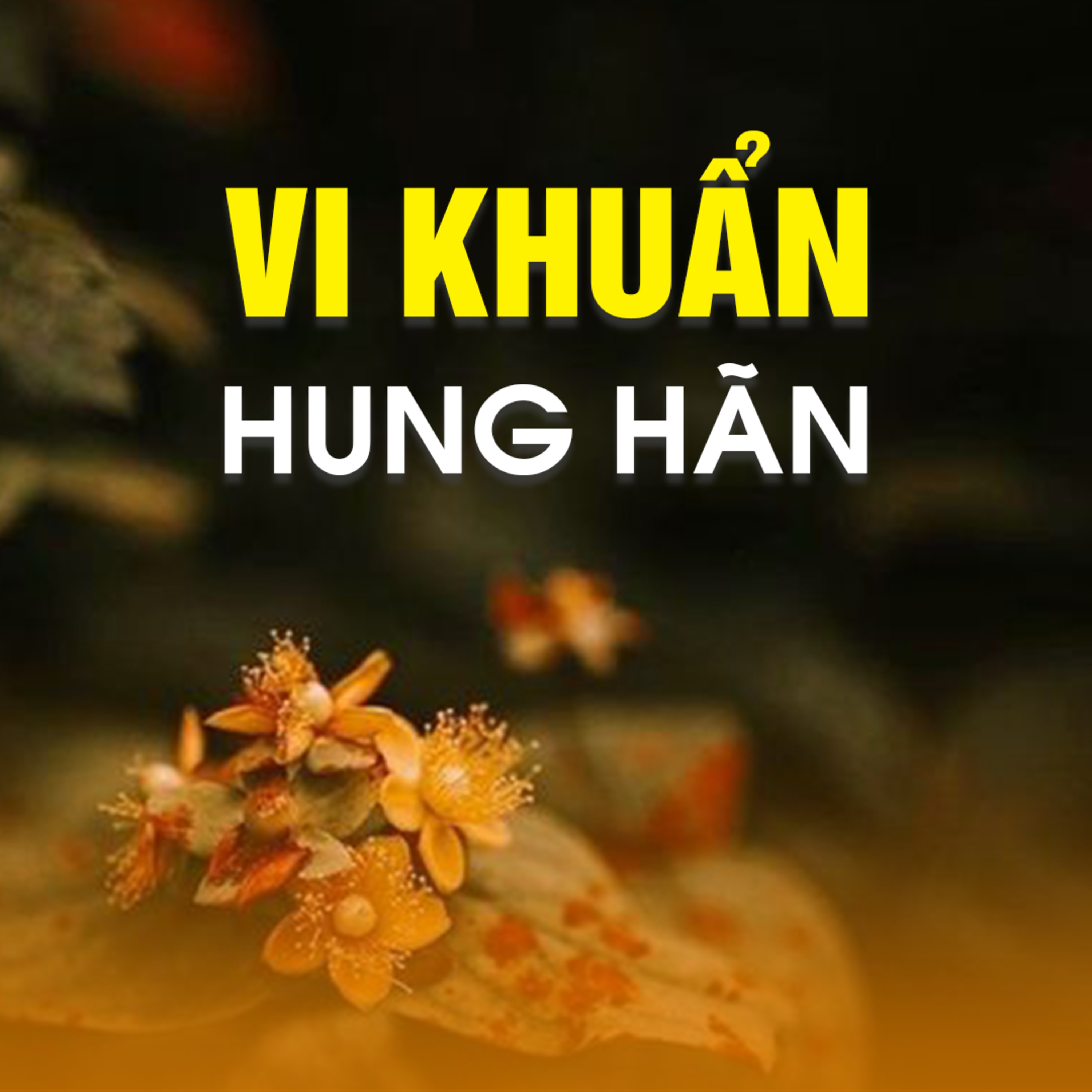 VI KHUẨN HUNG HÃN - Virulent Virus B episode artwork