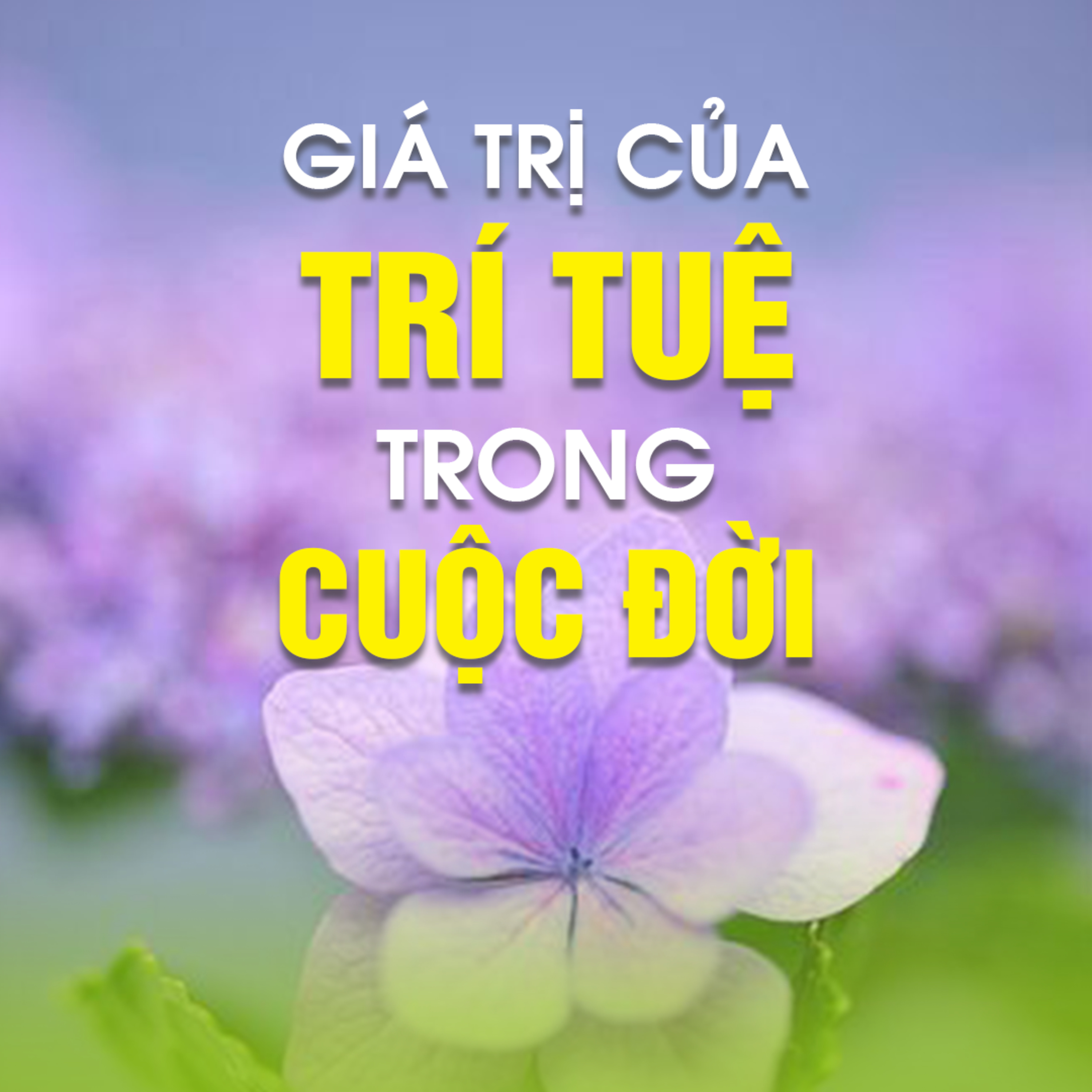 GIÁ TRỊ CỦA TRÍ TUỆ TRONG CUỘC ĐỜI 