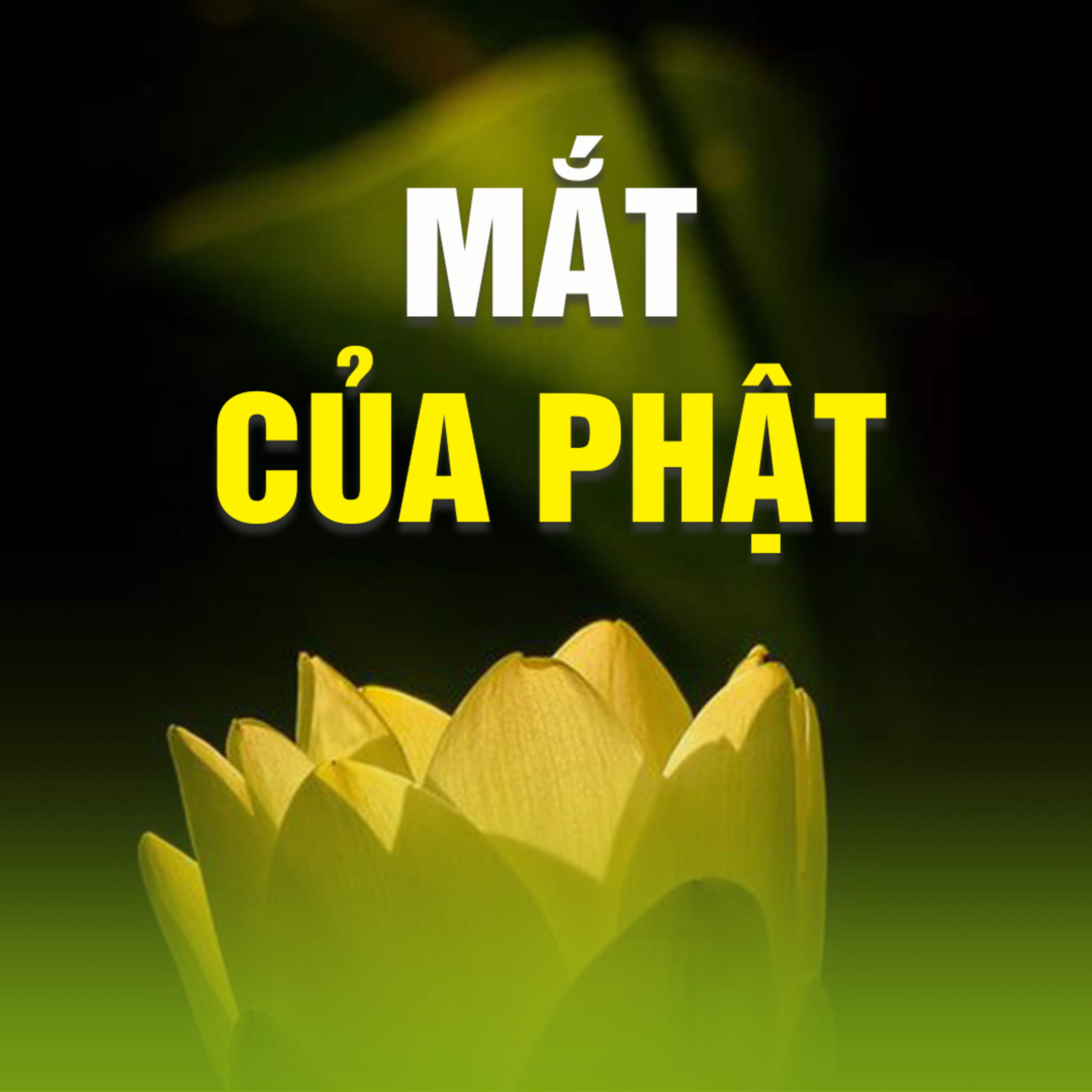 MẮT CỦA PHẬT A - Kinh Kim Cang 14  episode artwork